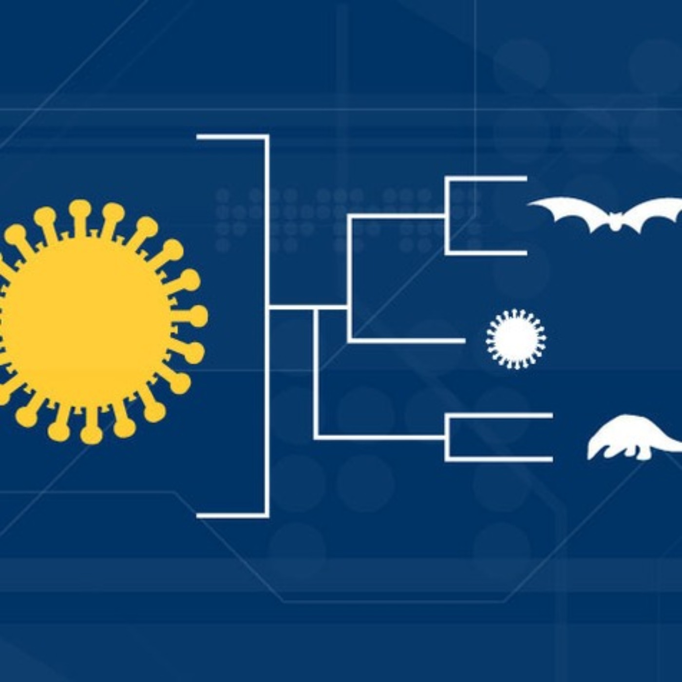 Studying the Genes Behind COVID-19 | Michigan Medicine