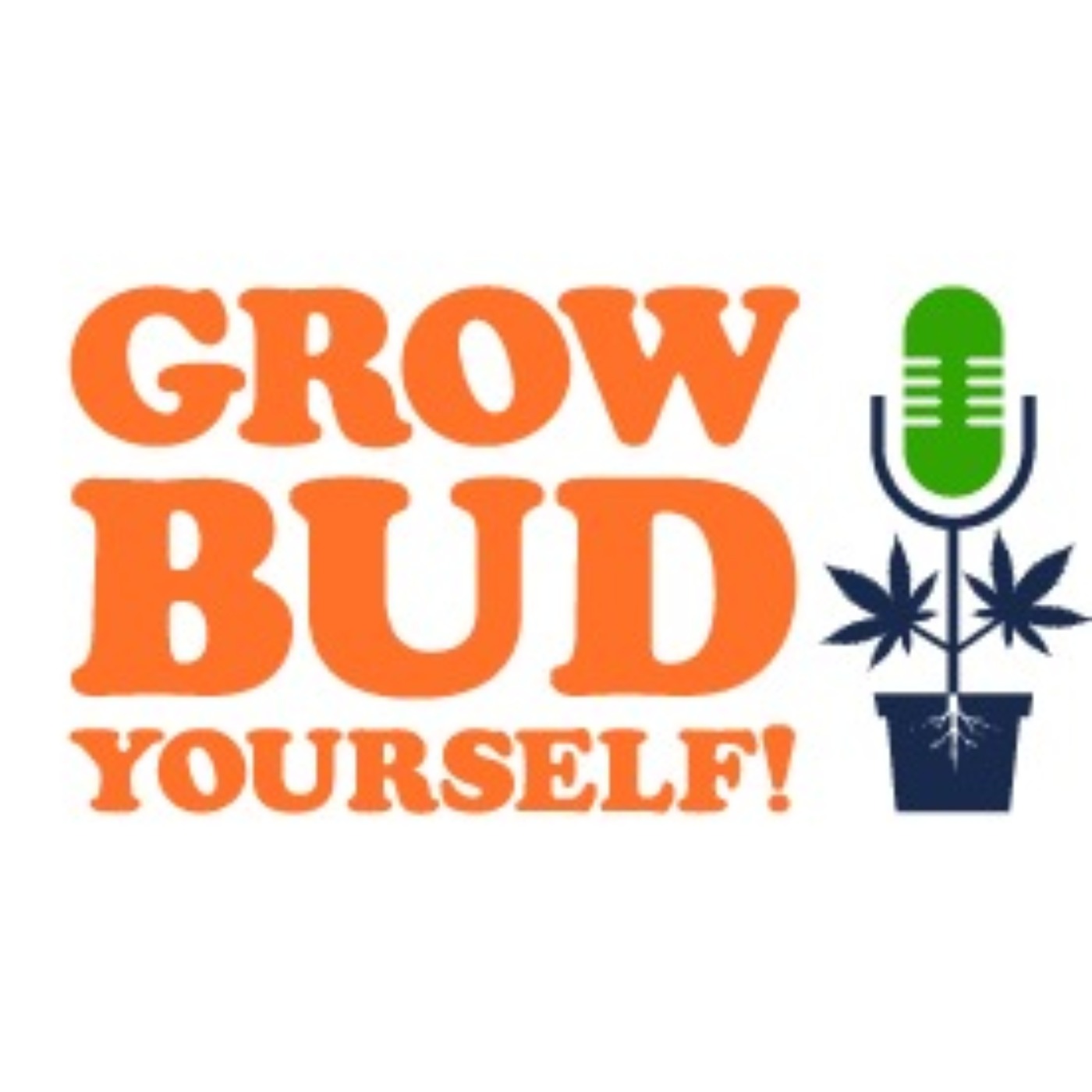 Grow Bud Yourself Episode 132 - Guest: Jon Foster from Grey Area