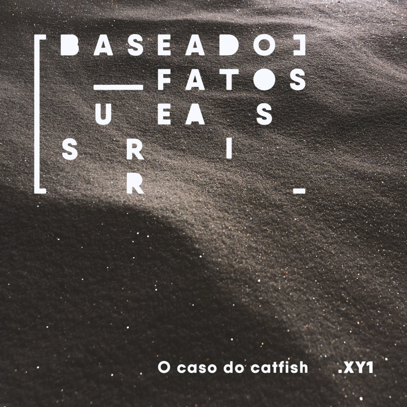 cover art for O caso do catfish 