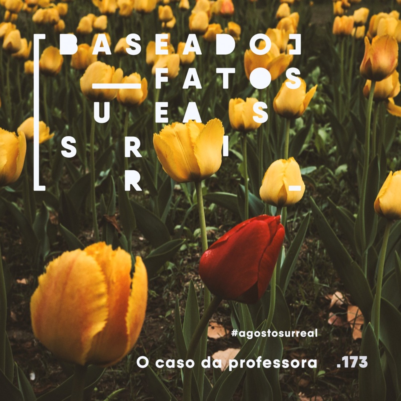 Baseado em Fatos Surreais