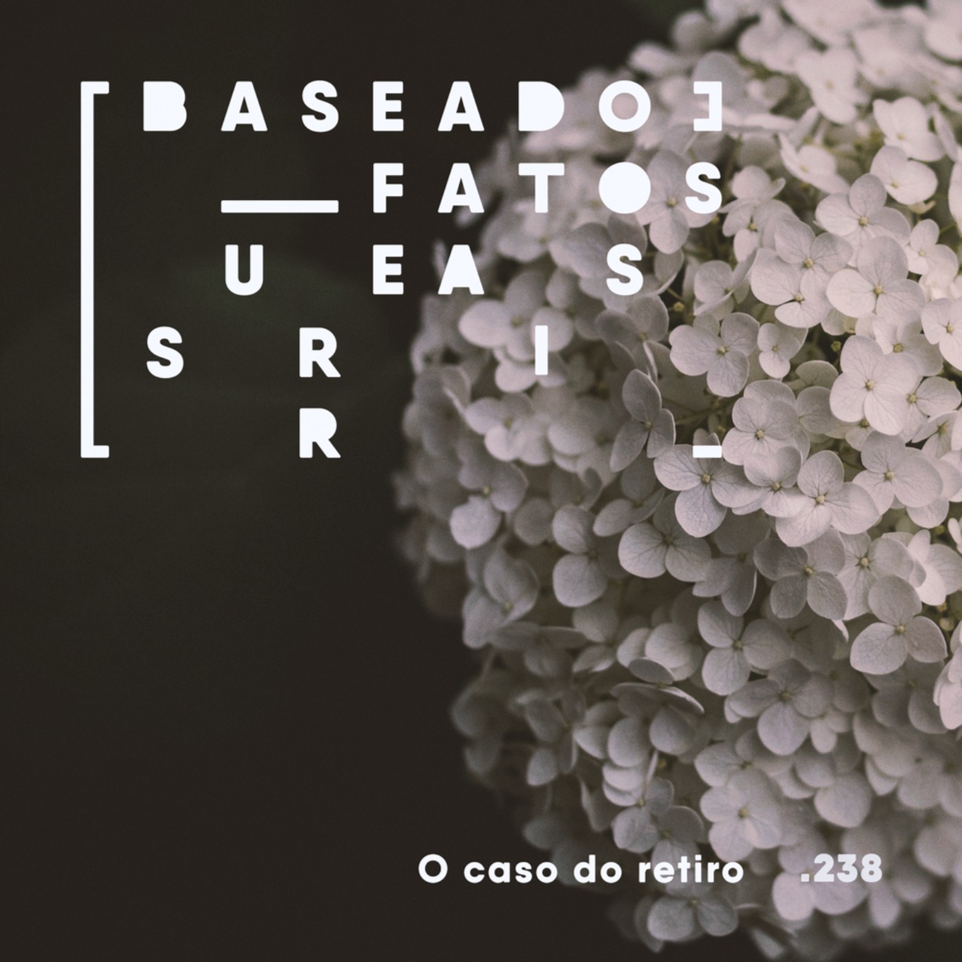 O caso do retiro