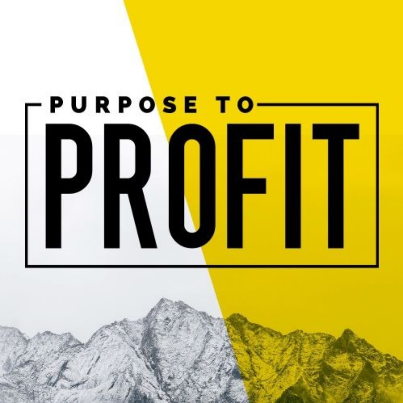 Purpose to Profit
