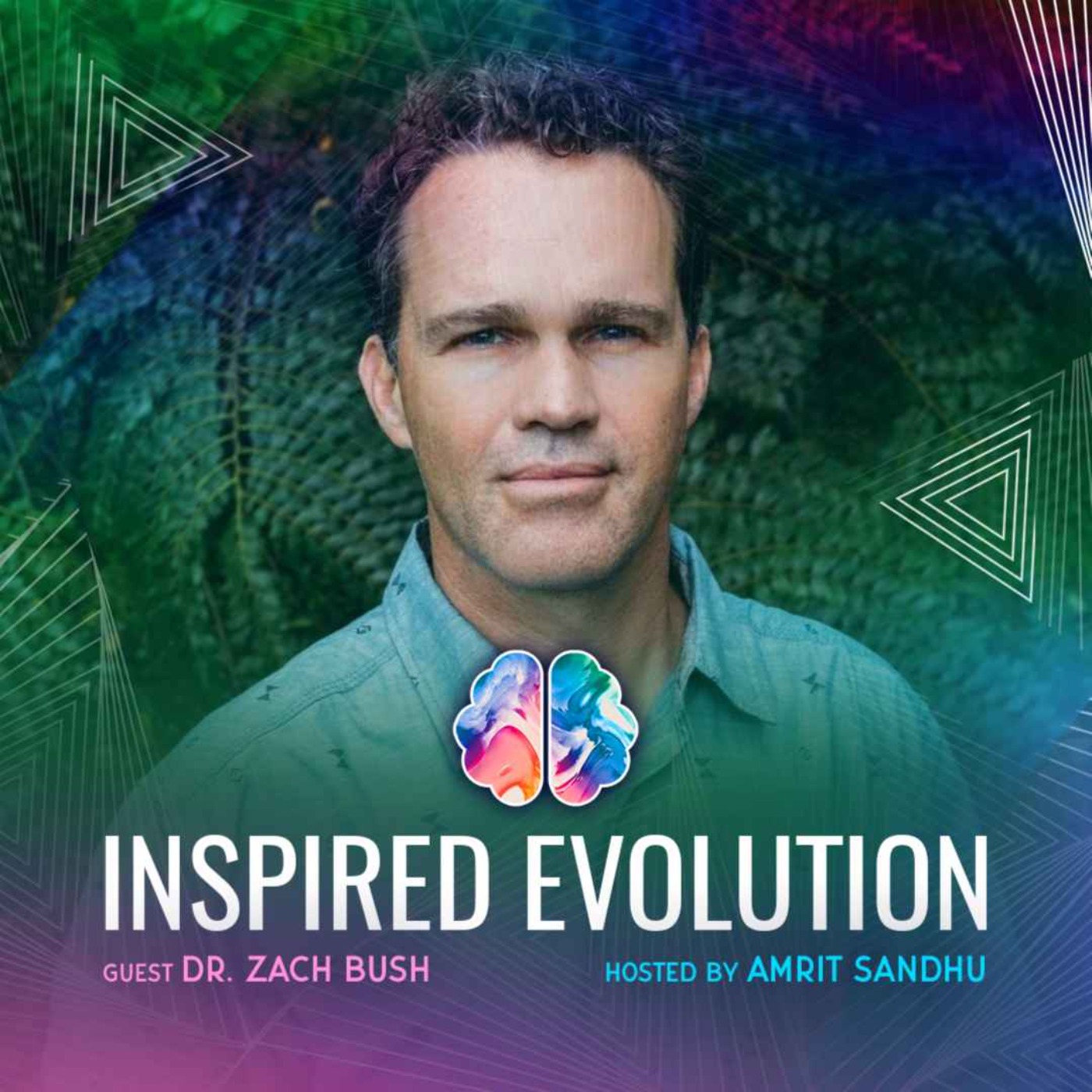 IE181 Dr. Zach Bush: on Death, Dying, and Rebirth: Secrets to Graceful Life Transitions (Hospice, Death's Mysteries, and Rebirth)