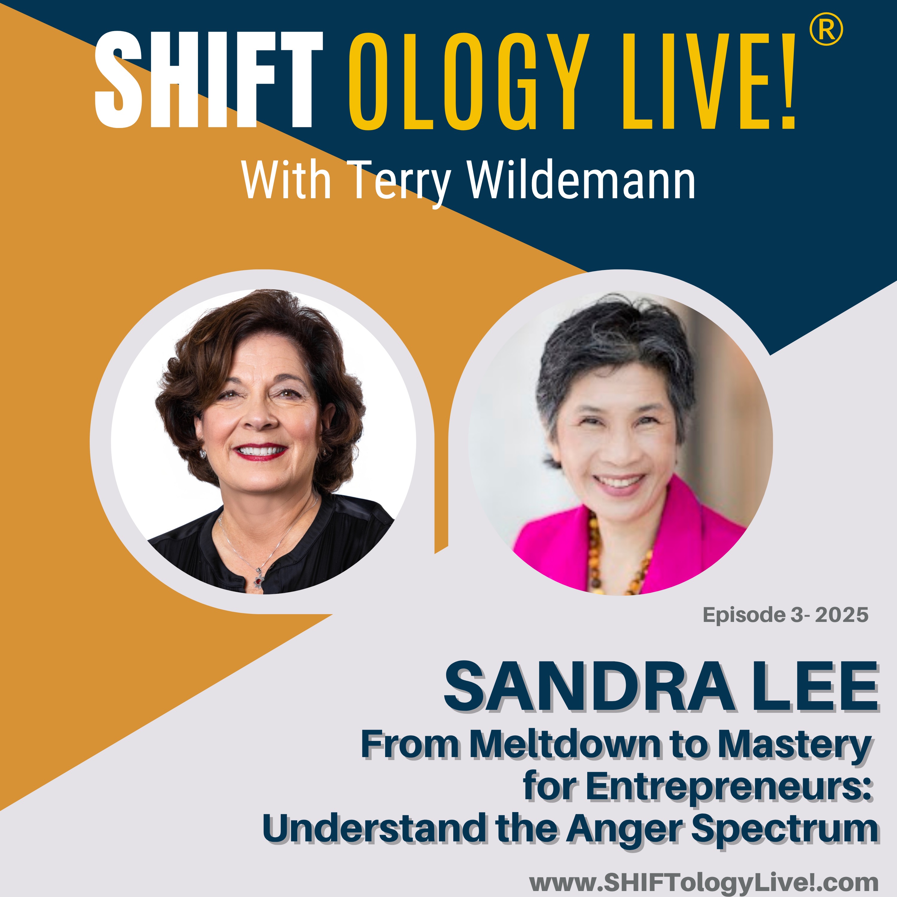 From Meltdown to Mastery for Entrepreneurs