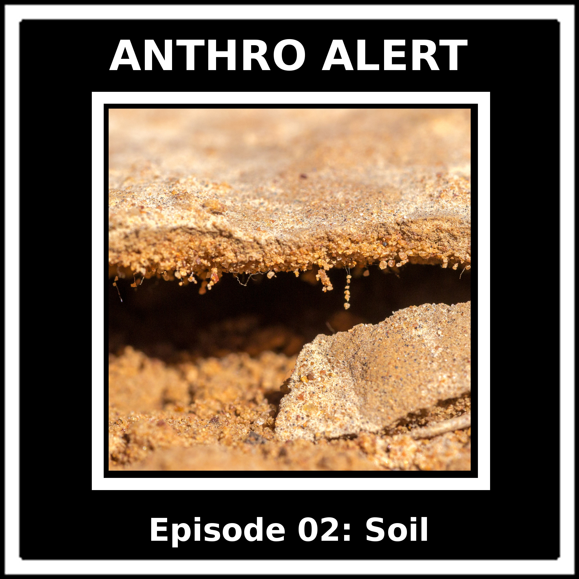 Episode 02: Soil
