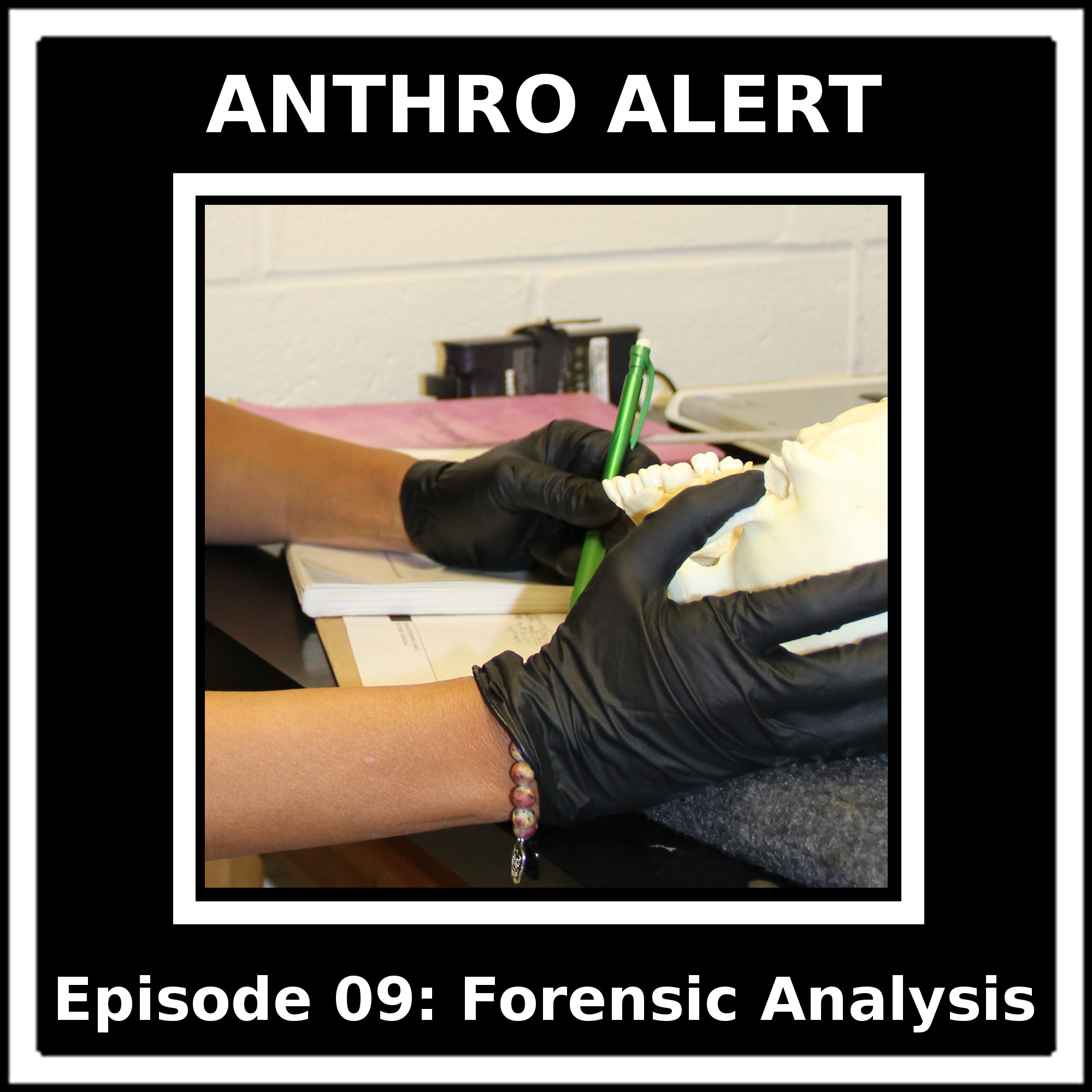 Episode 09: Forensic Analysis