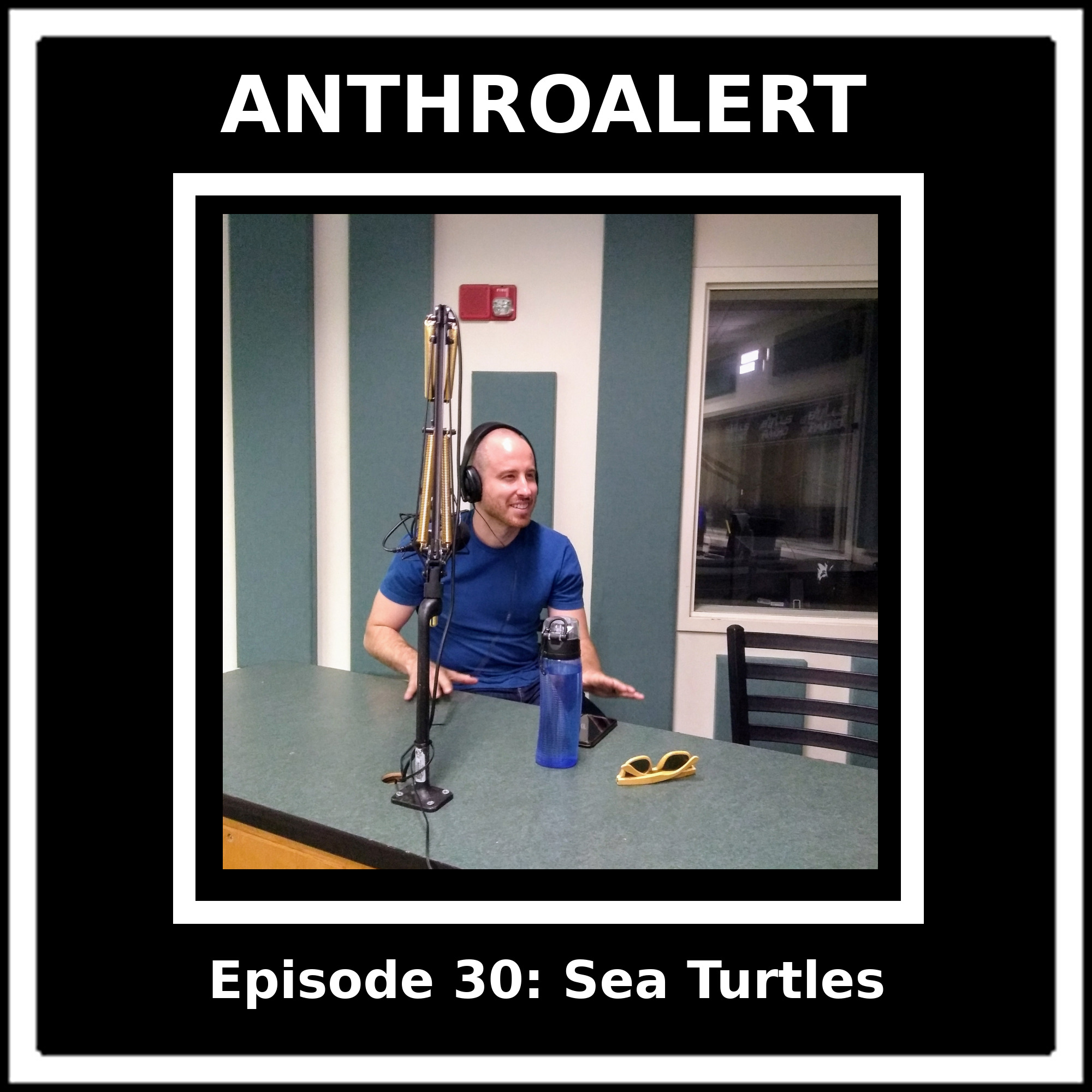 Episode 30: Sea Turtles