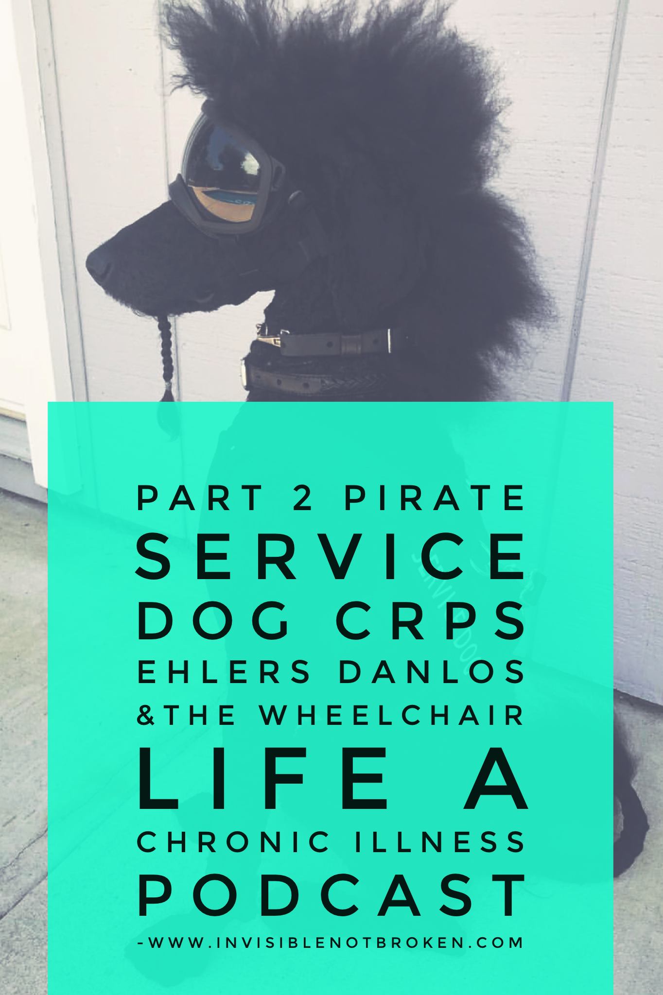 cover art for Part 2 Ehlers Danlos Pirate Service Dog CDIF CRPS Part 2 {A chronic illness podcast}