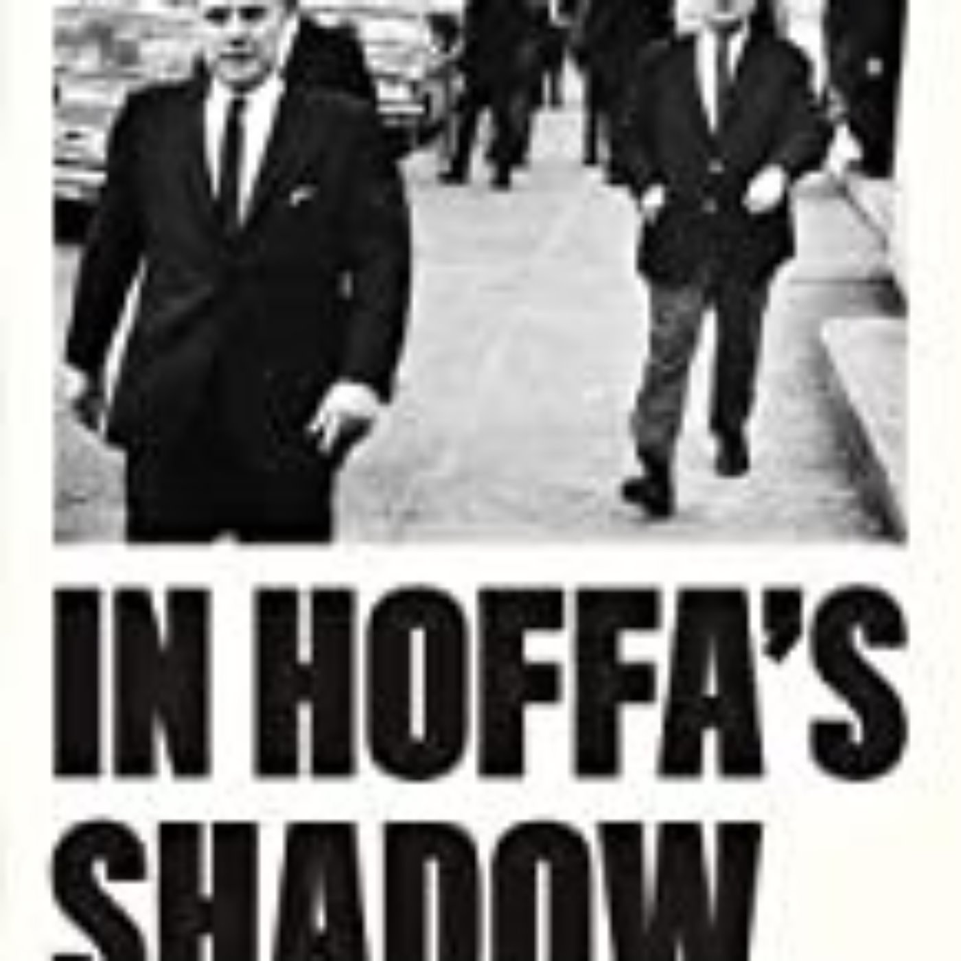 IN HOFFA'S SHADOW - JACK GOLDSMITH