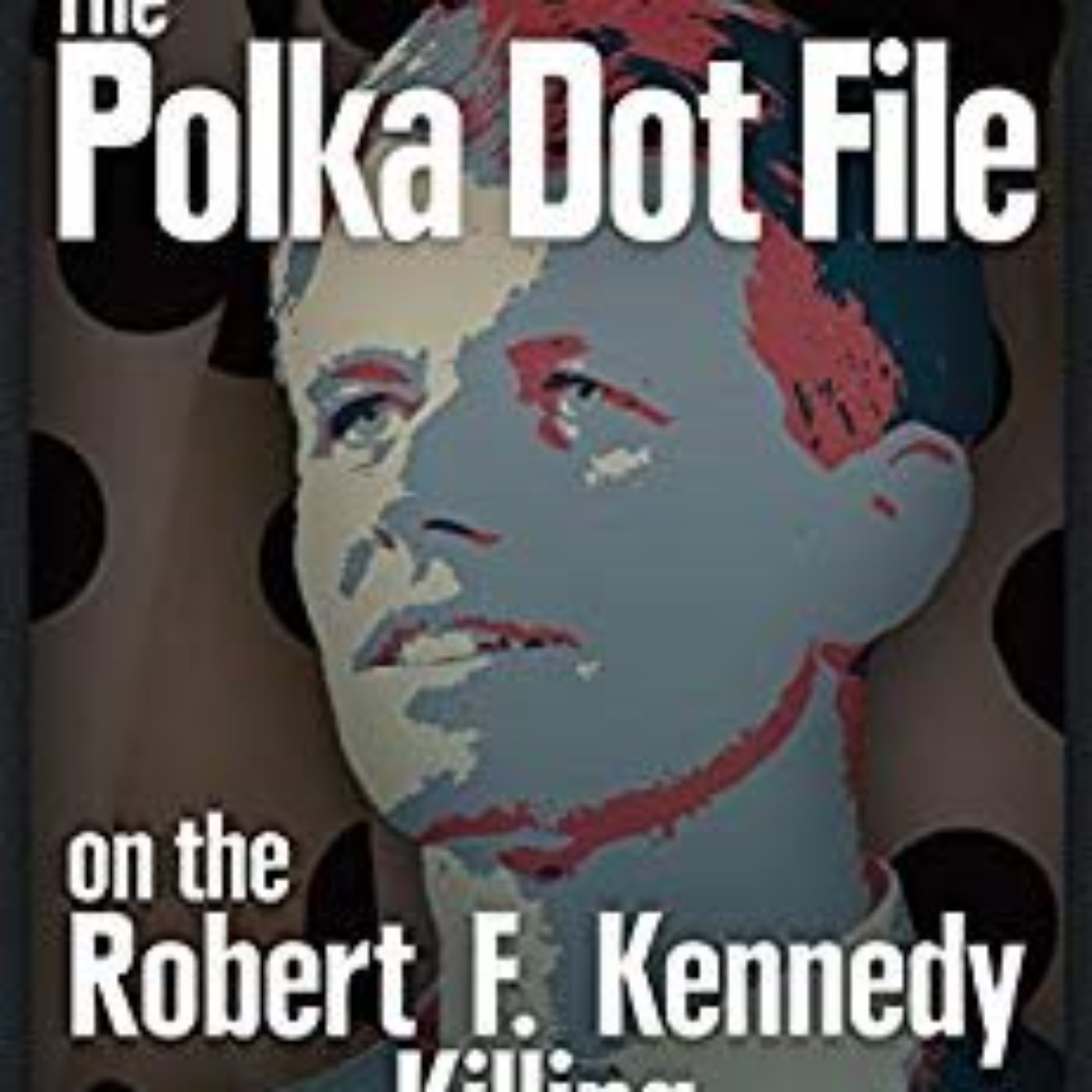 POLKA DOT FILE -  FERNANDO FAURA (RFK ASSASSINATION SERIES #1)