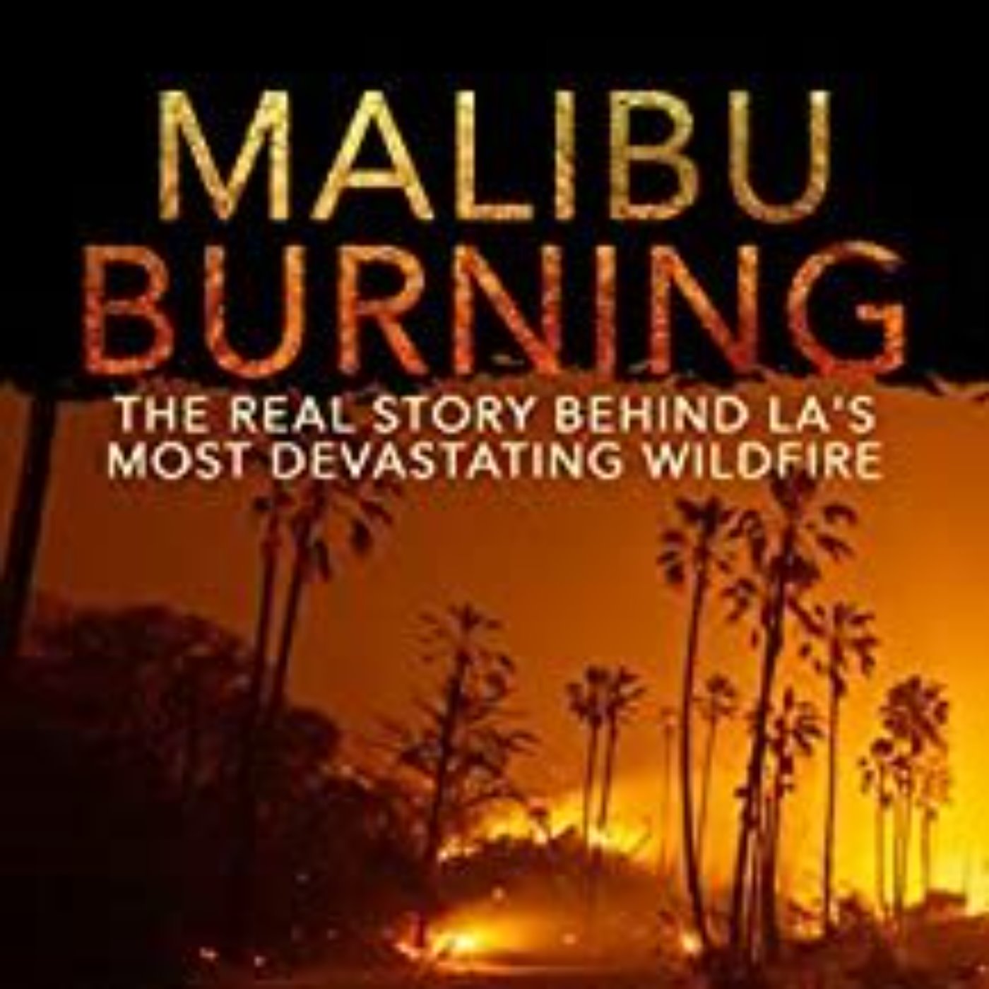 ROBERT KERBECK - MALIBU BURNING