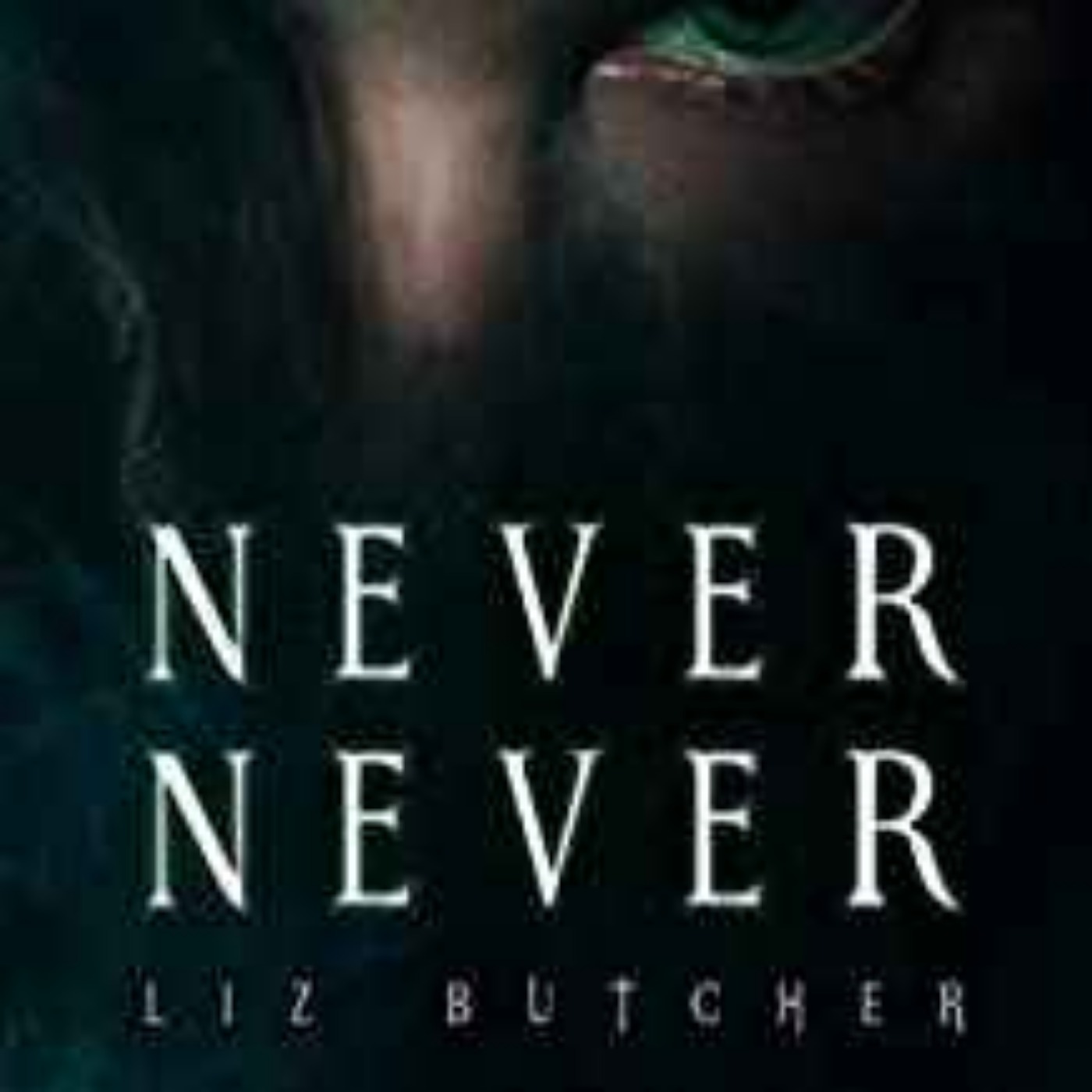 Liz Butcher- Never Never