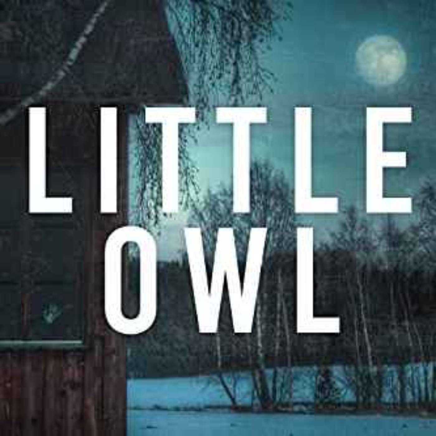 Lauri Schoenfeld - Little Owl