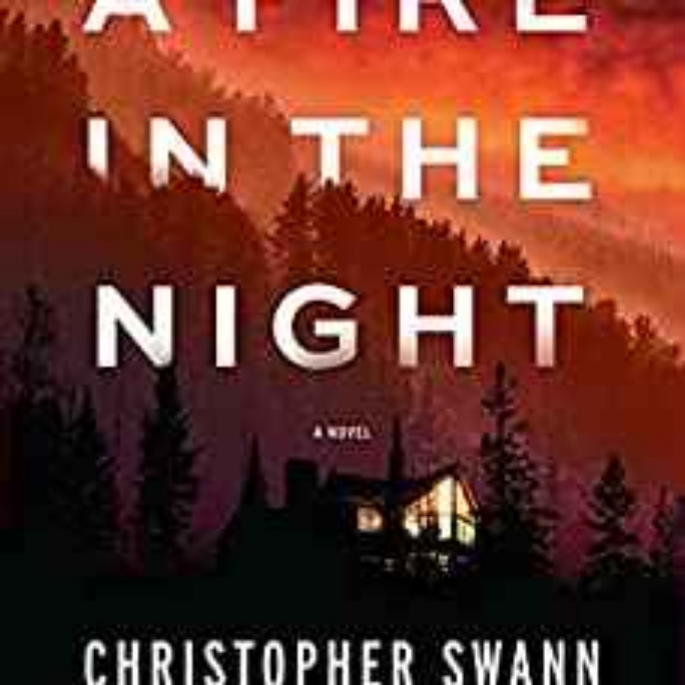 Christopher Swann - A Fire at Night