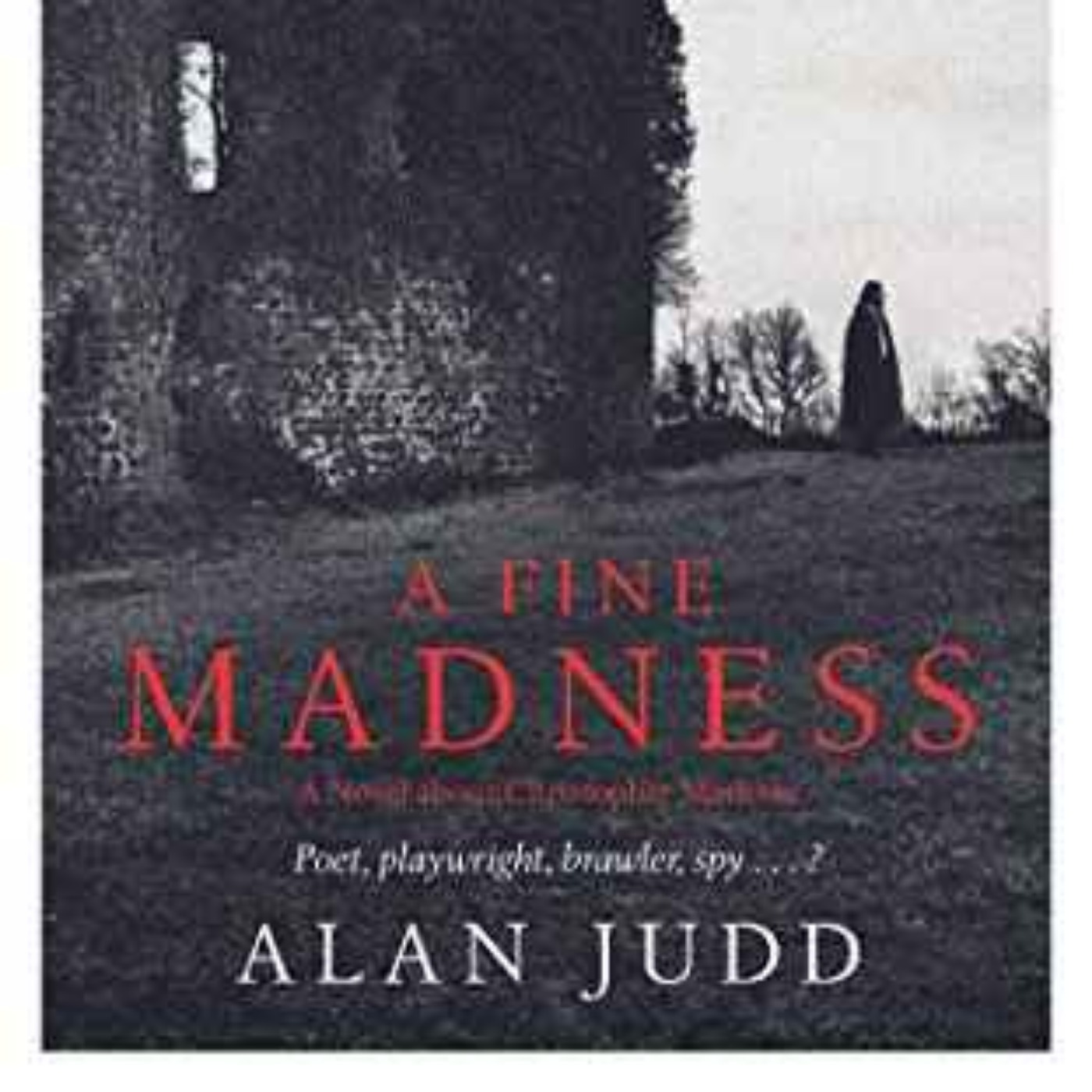 Alan Judd - A Fine Madness