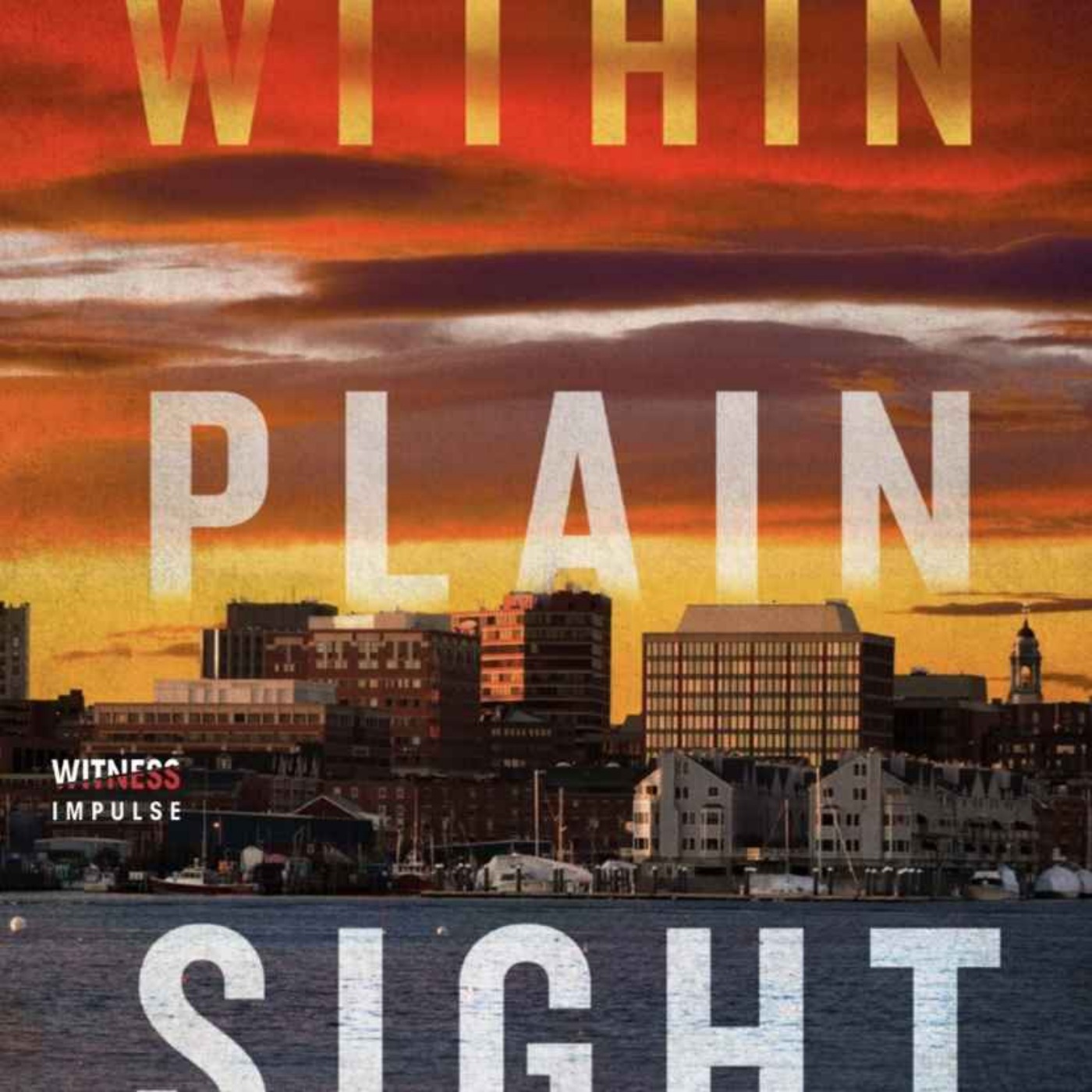 Bruce Robert Coffin - Within Plain Sight