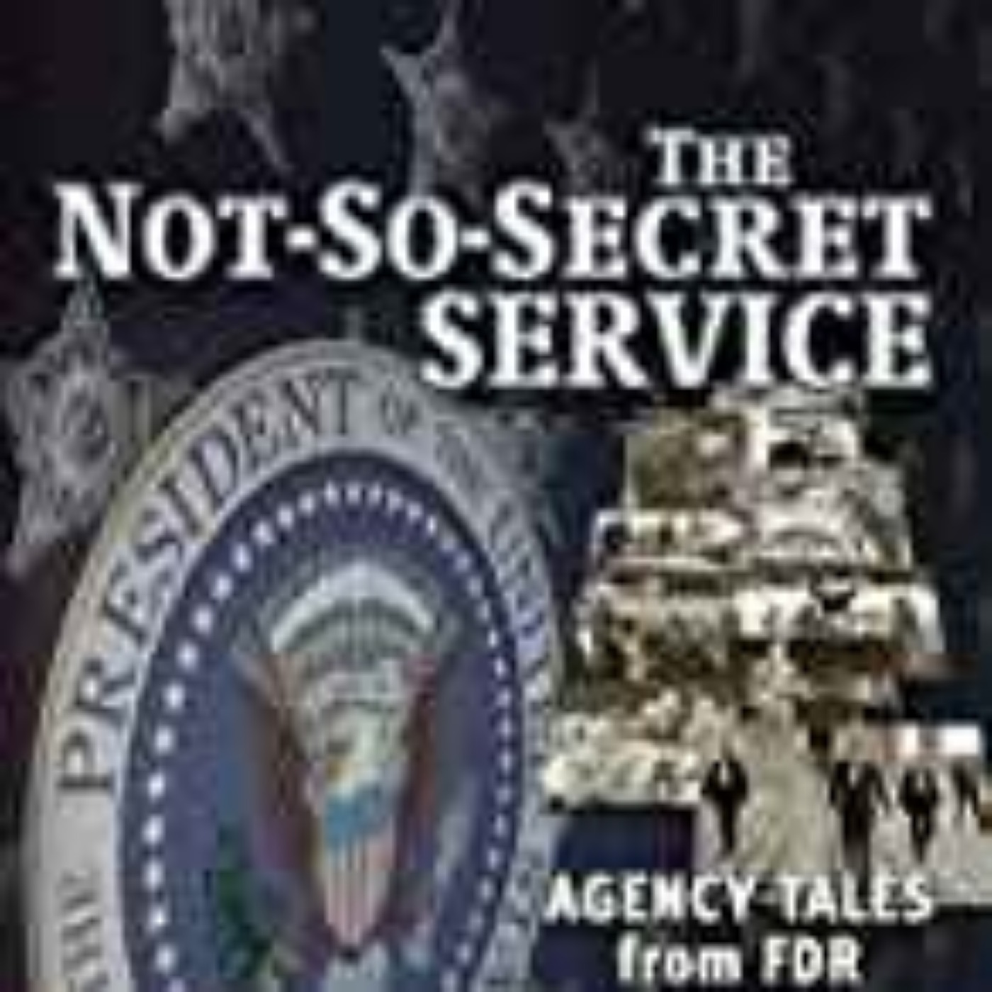 Vince Palamara - Not So Secret Service