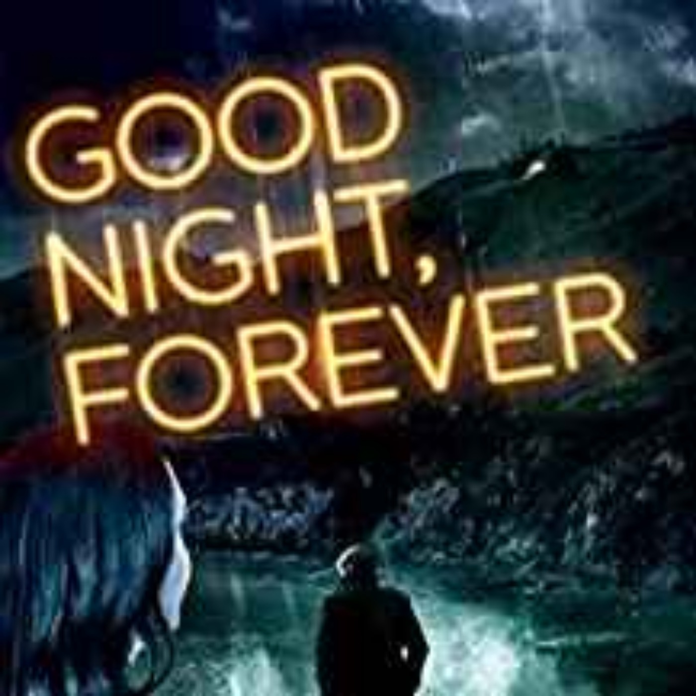 Jeffrey Fleishman - Good Night Forever