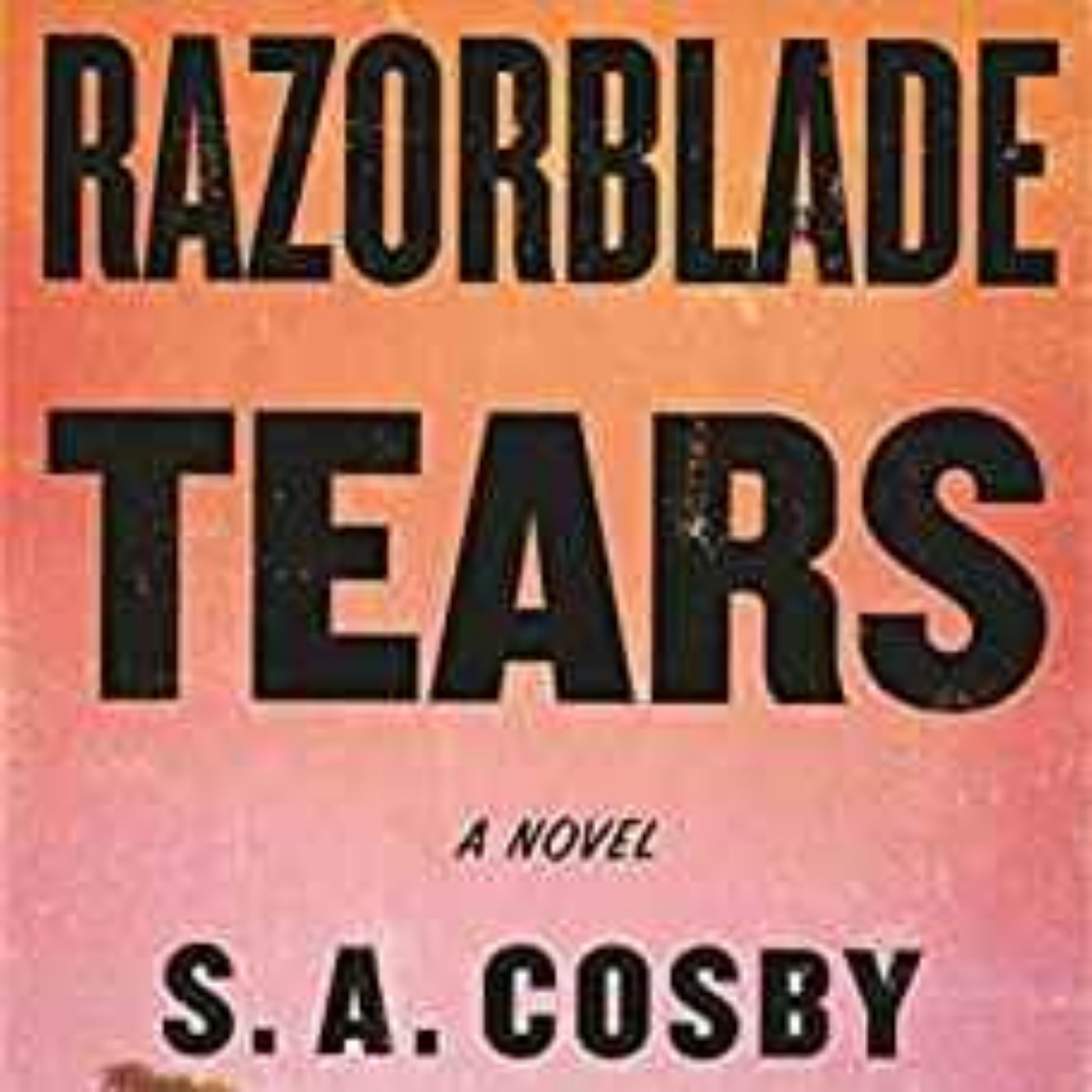 S.A. Cosby - Razorblade Tears