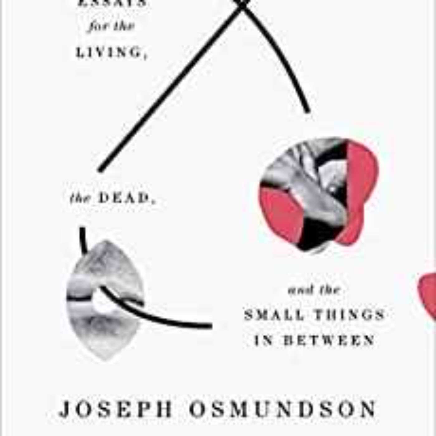 Joseph Osmundson - Virology: Essays for the Living, the Dead, and the Small Things in Between