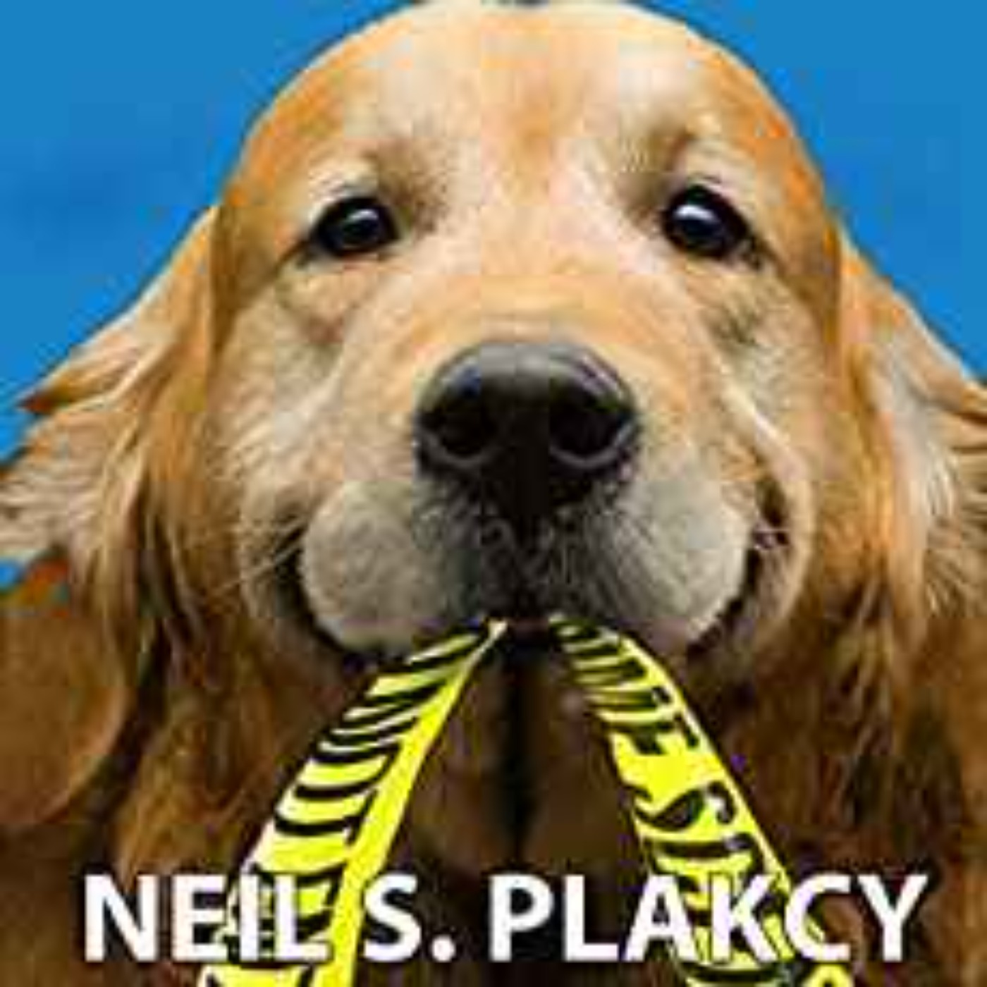 Neil Plakcy - In Dog We Trust (Cozy Dog Mystery): #1 in the Golden Retriever Mystery Series (Golden Retriever Mysteries)