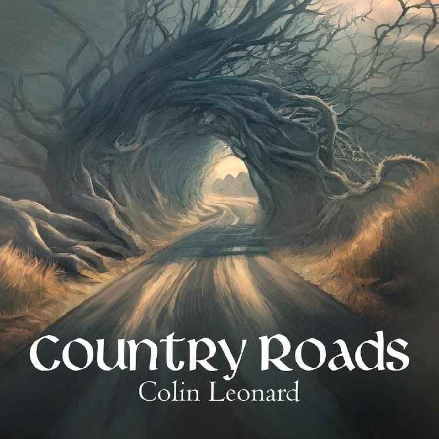Colin Leonard - Country Roads