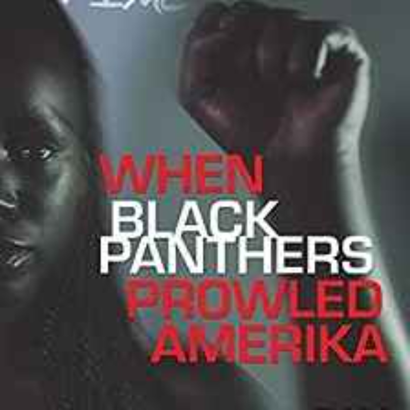 cover art for Dr. Pam - When Black Panthers Prowled Amerika