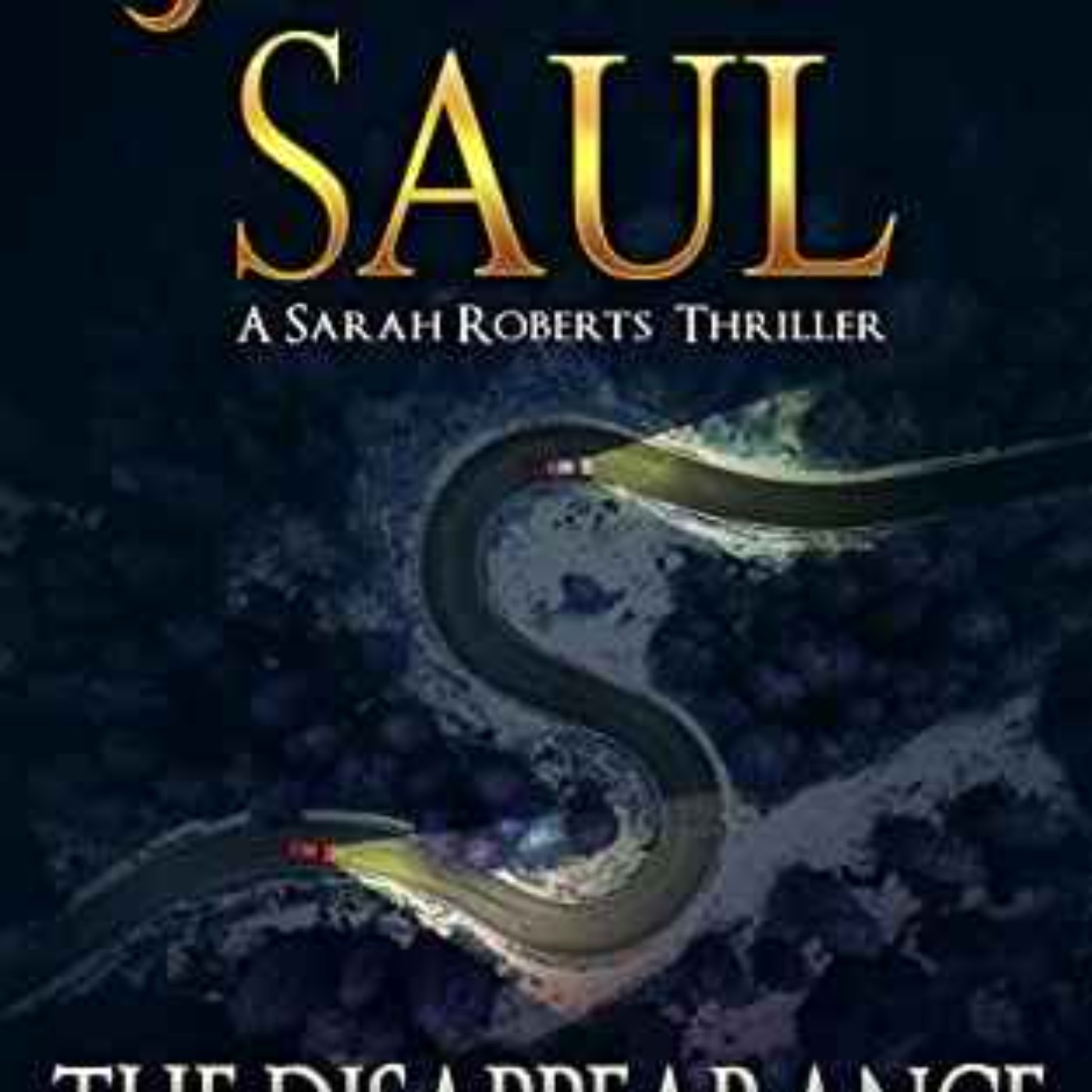 Jonas Saul - The Disappearance (Sarah Roberts Book Thirty-Four)