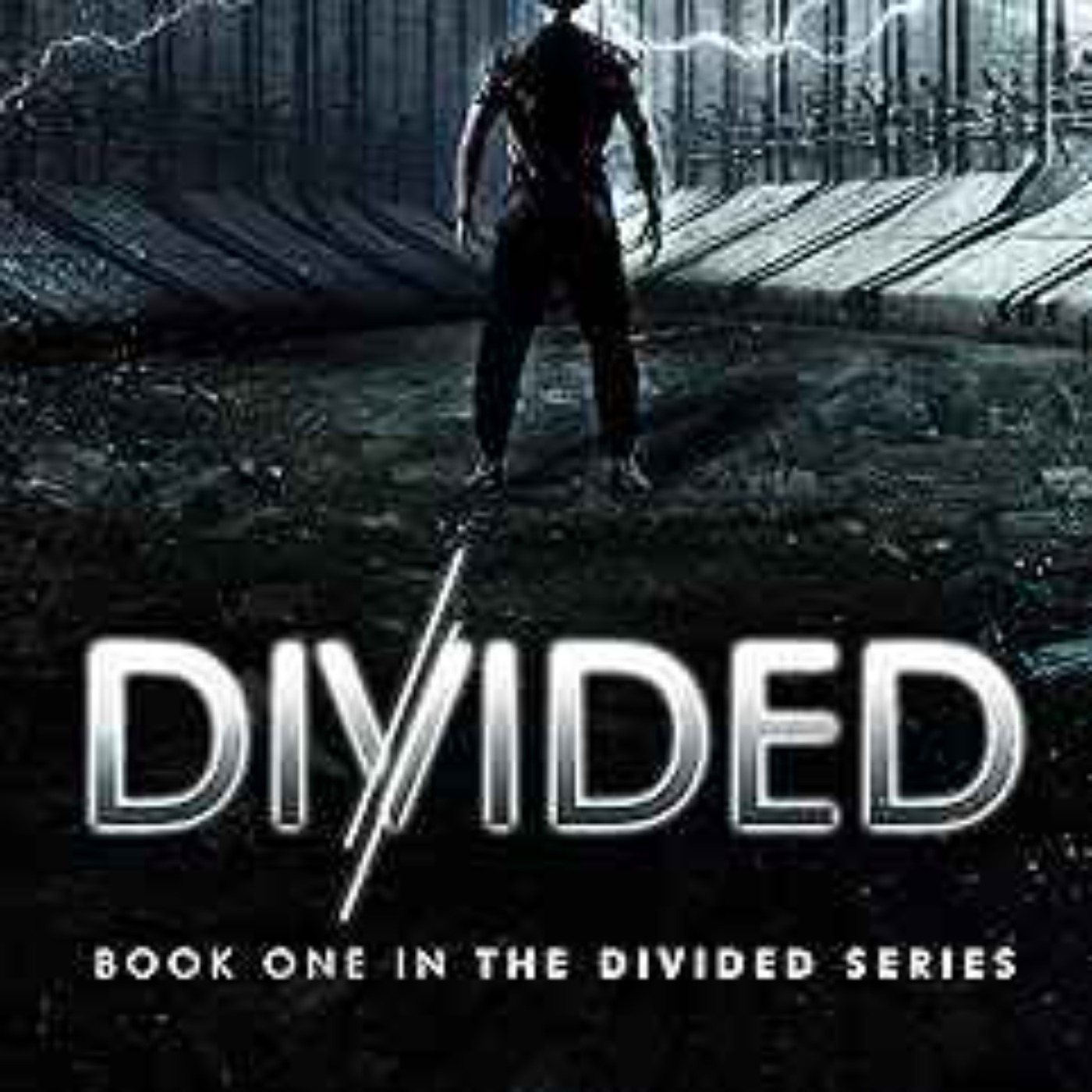 CC Robinson - Divided: Book One in the Divided Series