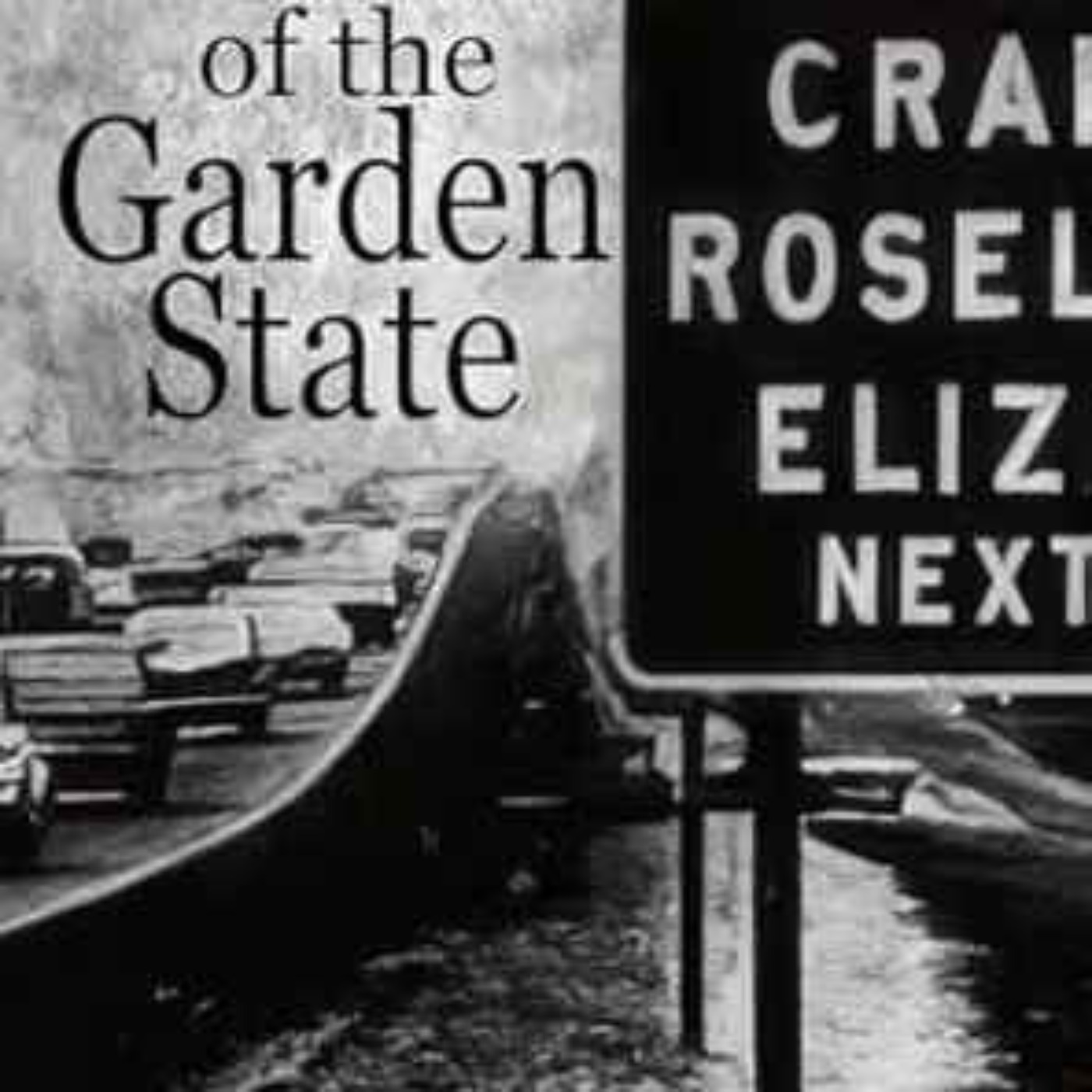 Daniel Meltz - Rabbis of the Garden State