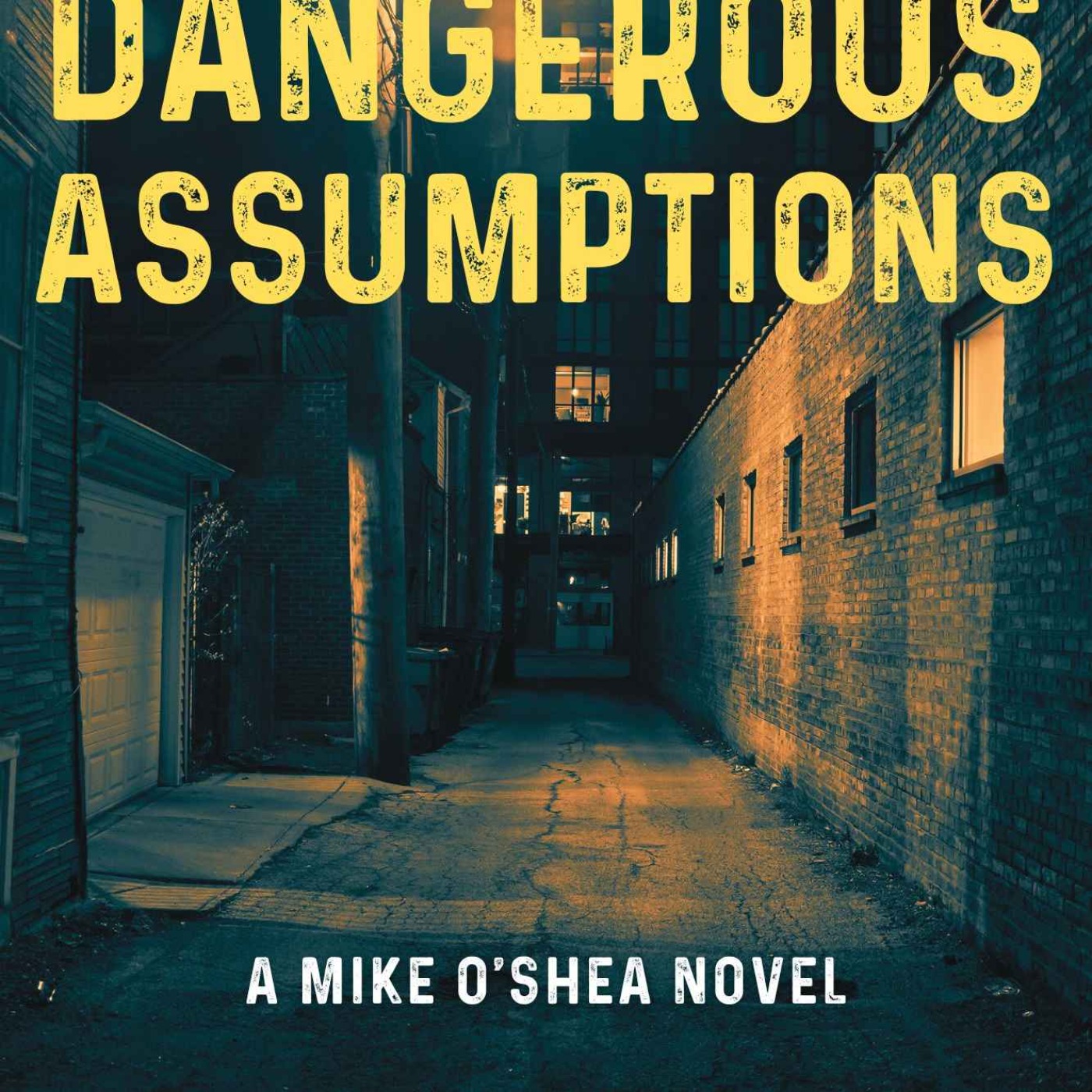 Desmond P. Ryan - Dangerous Assumptions