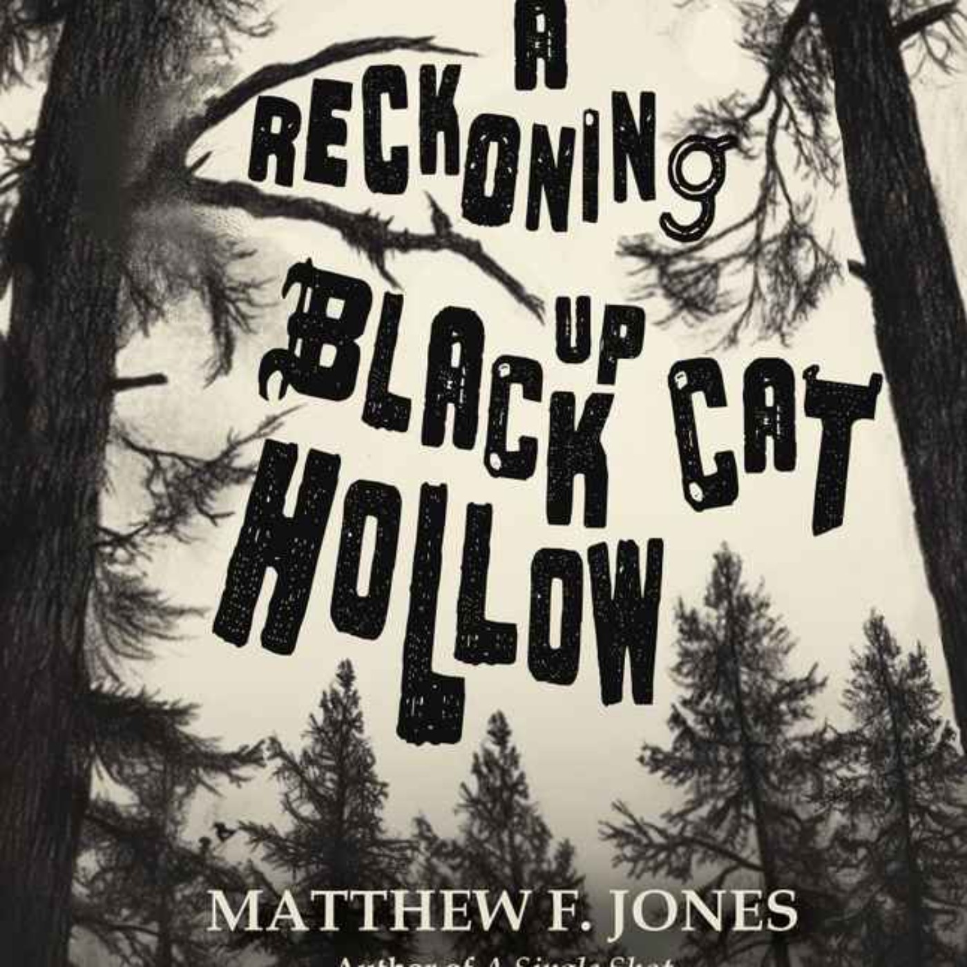 Matthew F. Jones - A Reckoning up Black Cat Hollow
