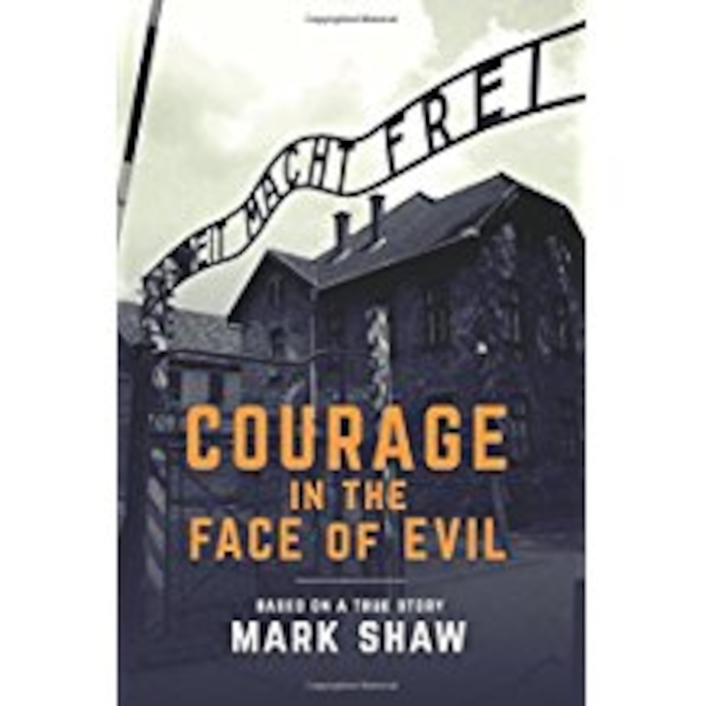 COURAGE IN THE FACE OF EVIL - MARK SHAW