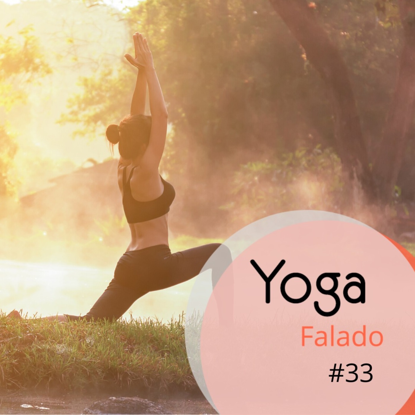 Nadis e polaridades - O prana, a energia vital - Yoga Falado #33 Nadis e polaridades - O prana, a energia vital - Yoga Falado #33