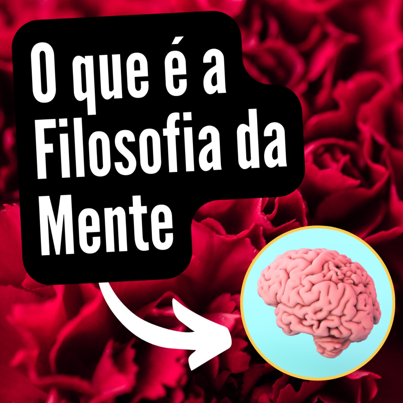 O Que é a Filosofia Da Mente
