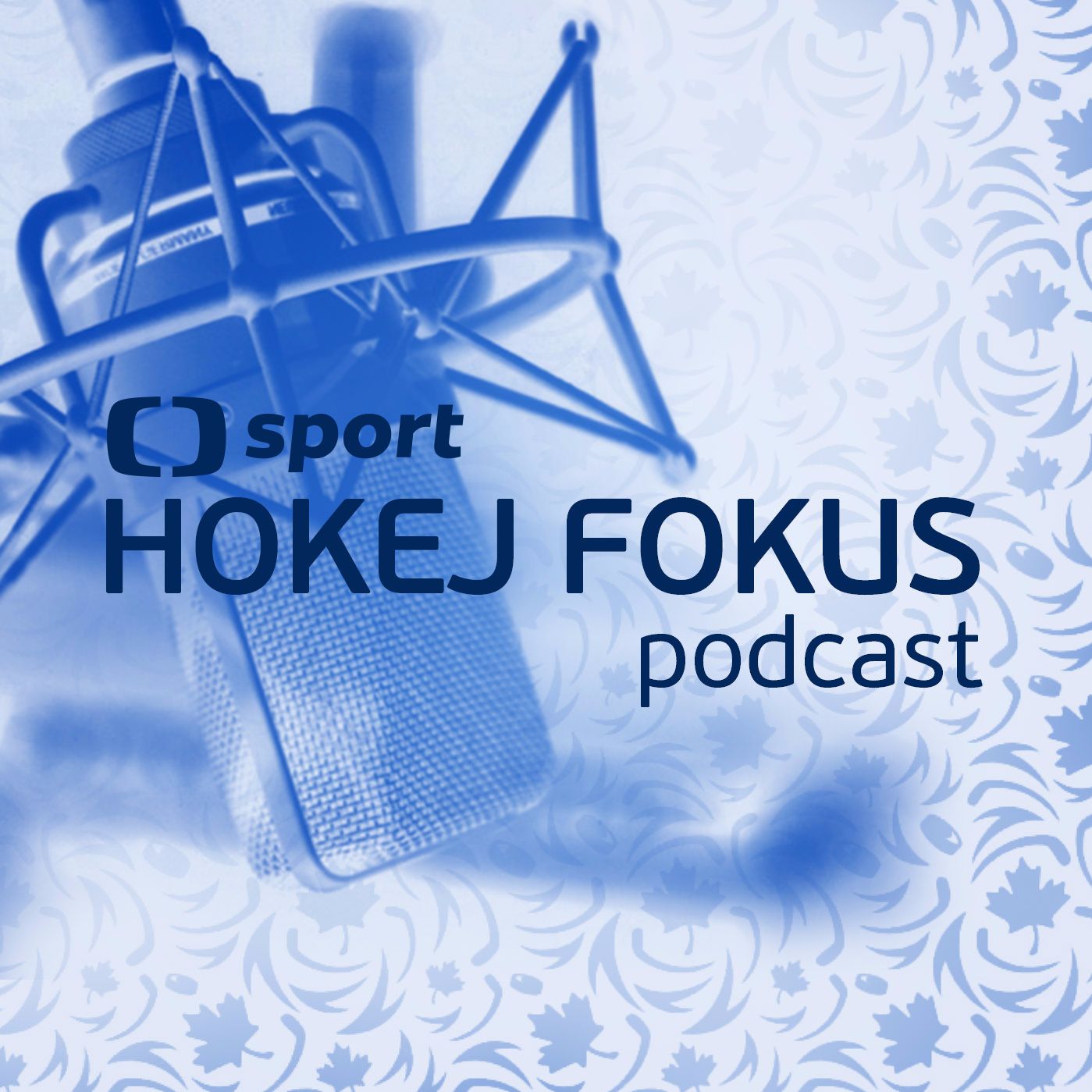 Hokej fokus podcast: Co může za nezdar českého týmu na Světovém poháru?