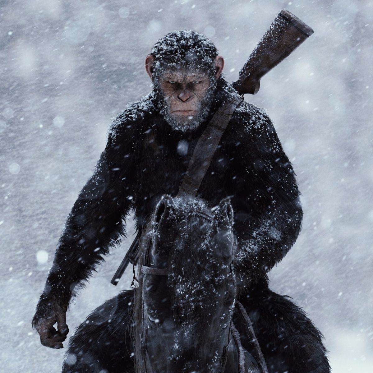 7. Monkey Business 3: Rise of the Dawn for the War of the Planet of the Apes