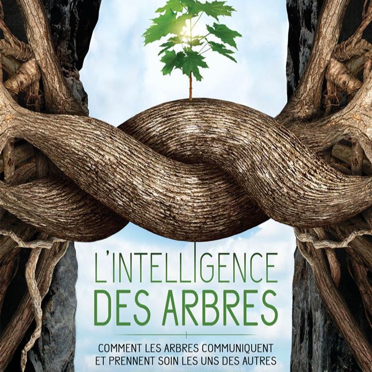 cover art for L'INTELLIGENCE DES ARBES - LES TRESORS CACHES DES PLANTES - JAN ROELOFFSS