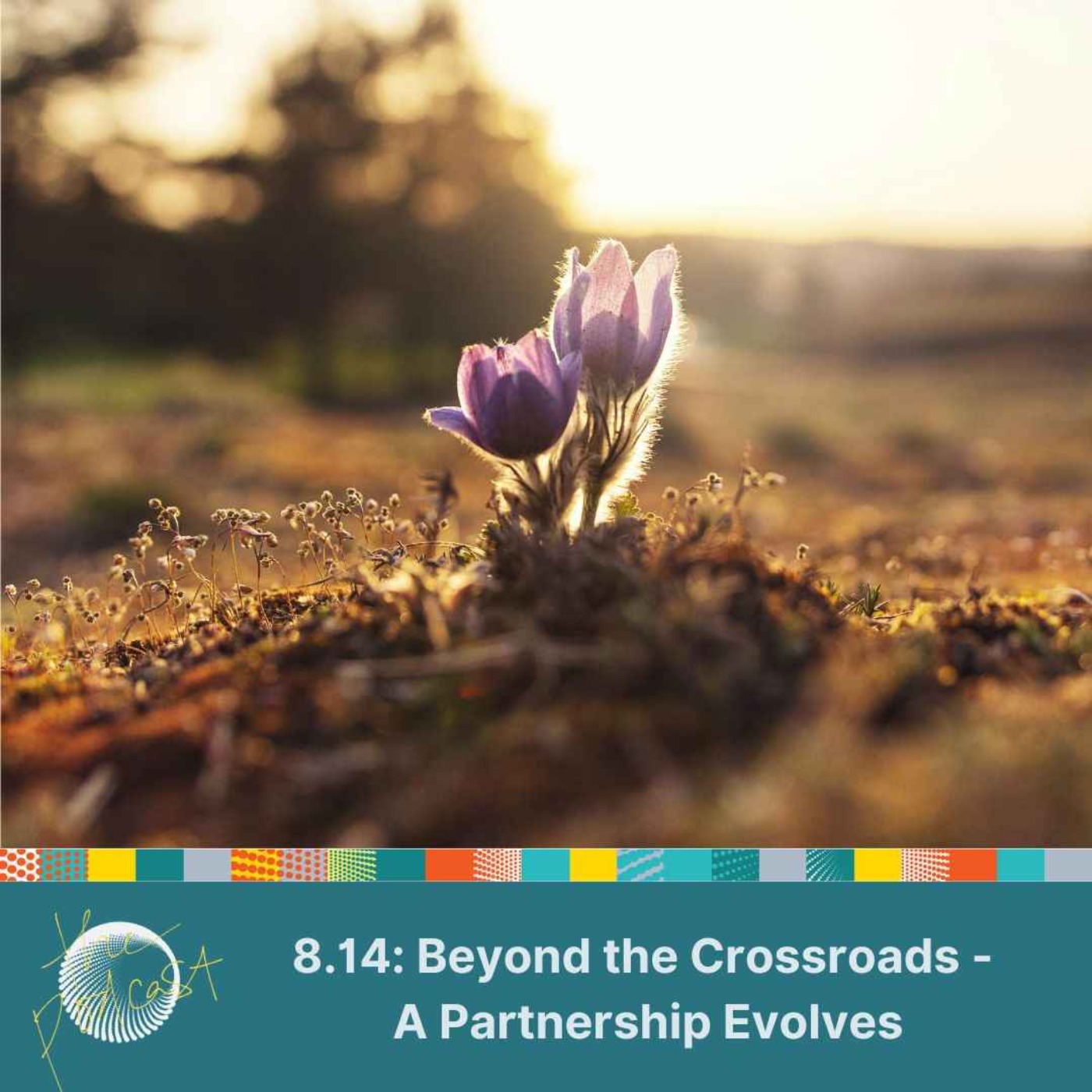 8.14: Beyond the Crossroads - A Partnership Evolves episode artwork