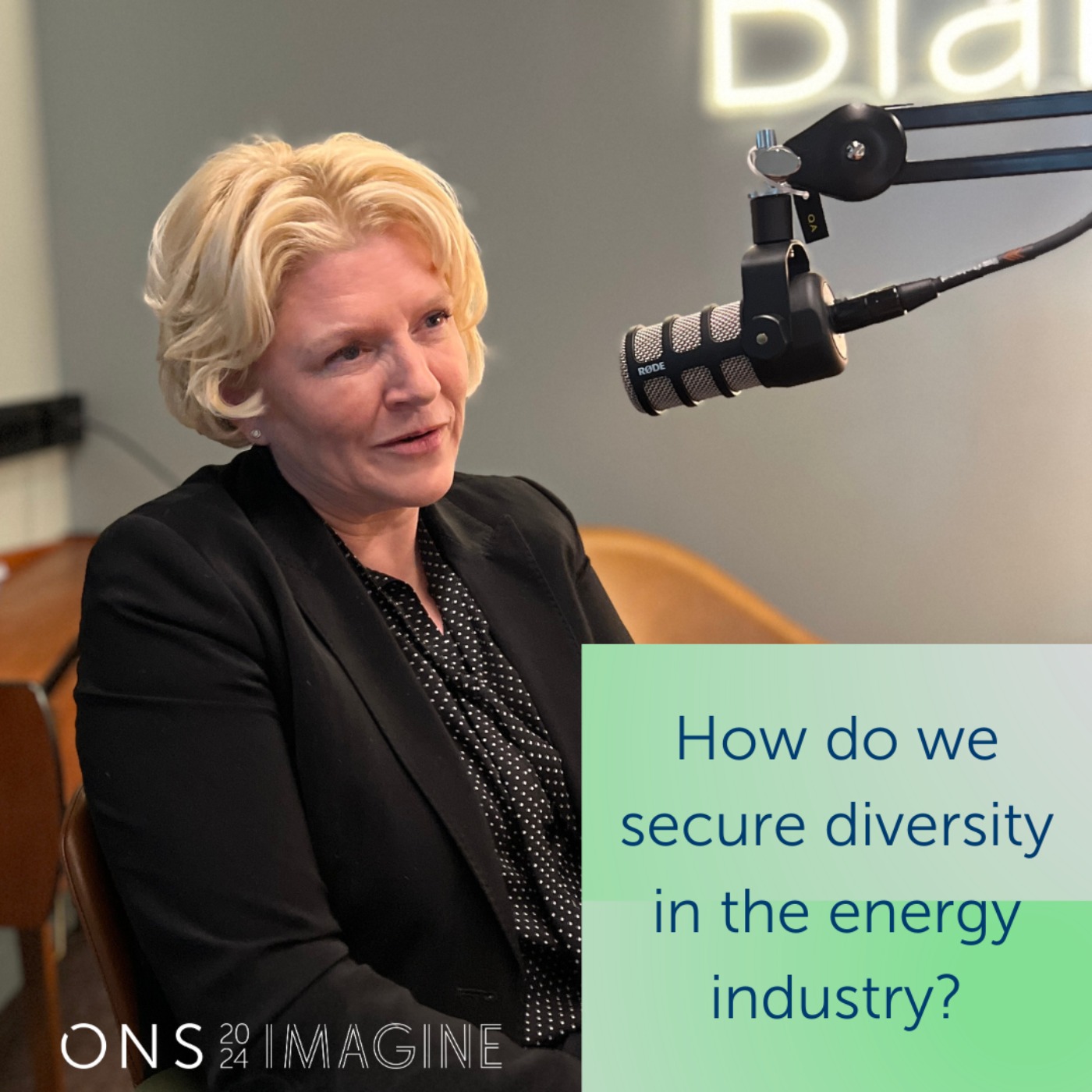 How do we secure diversity in the energy industry?