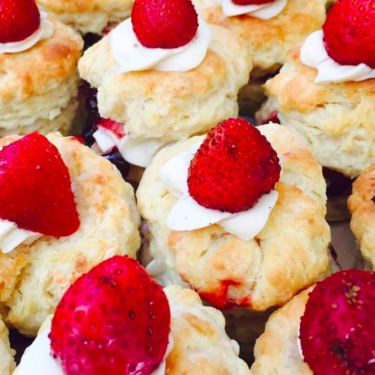 Delicious Revolution