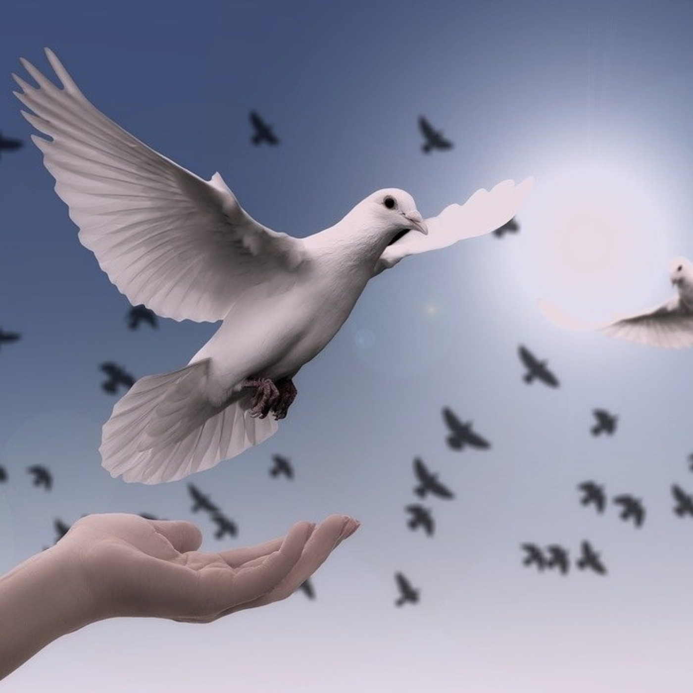 Good Shepherd Barrhaven Sermon Stream