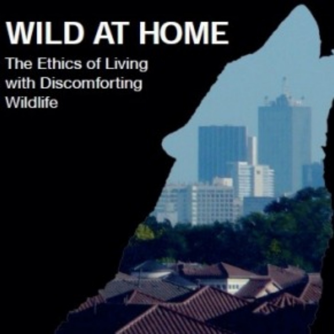 2: Mateusz Tokarski 2: Mateusz Tokarski