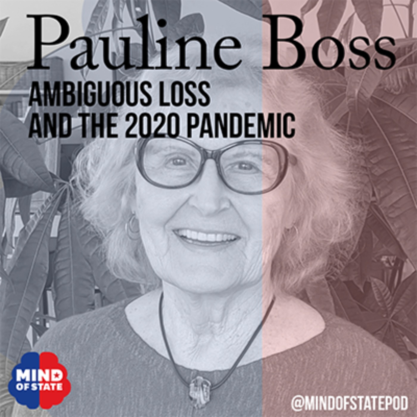 cover art for Ambiguous Loss and the 2020 Pandemic