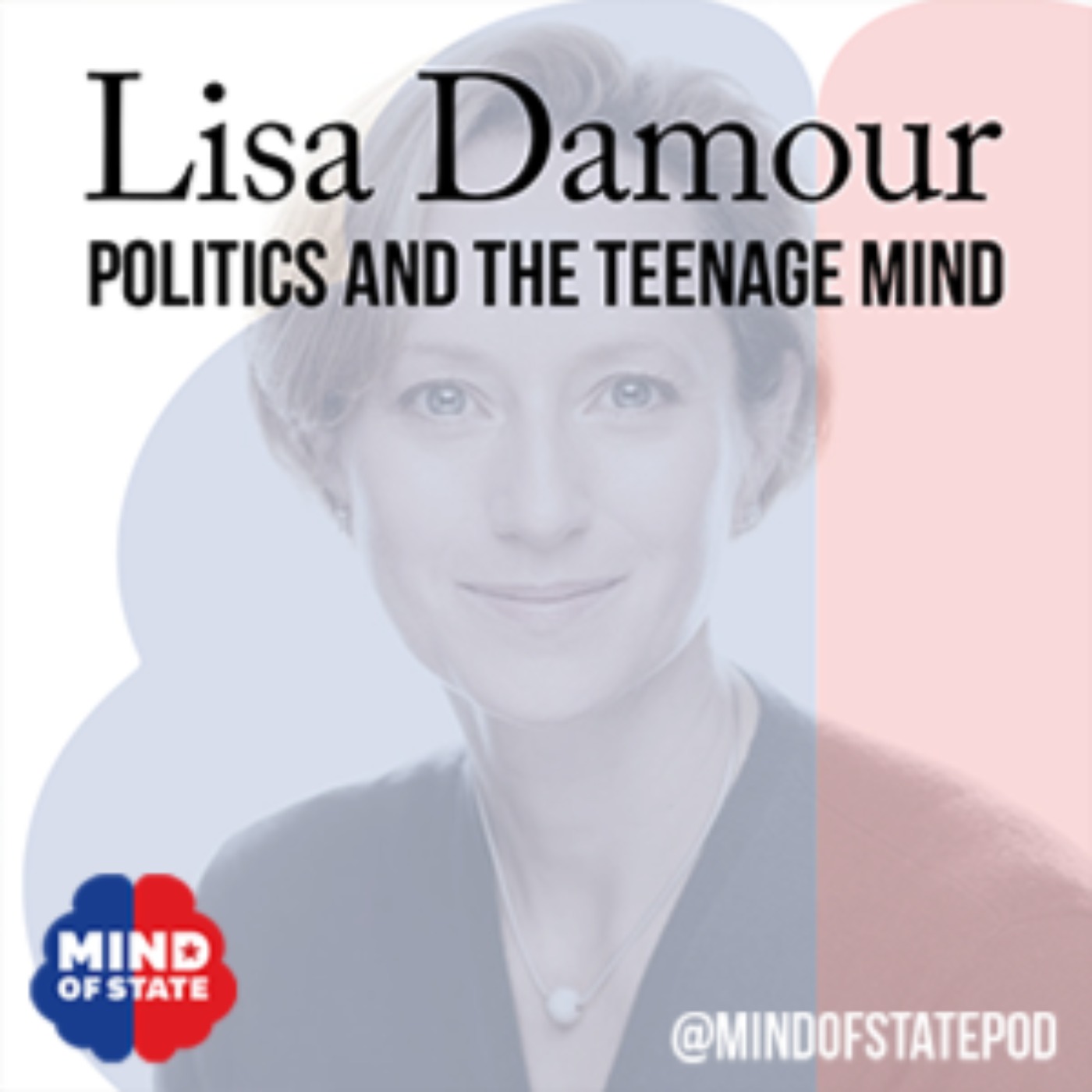 cover art for Politics and the Teenage Mind