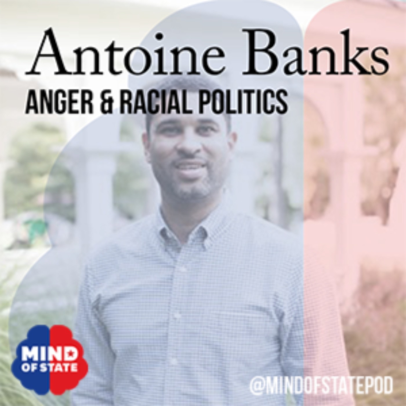 cover art for Anger and Racial Politics