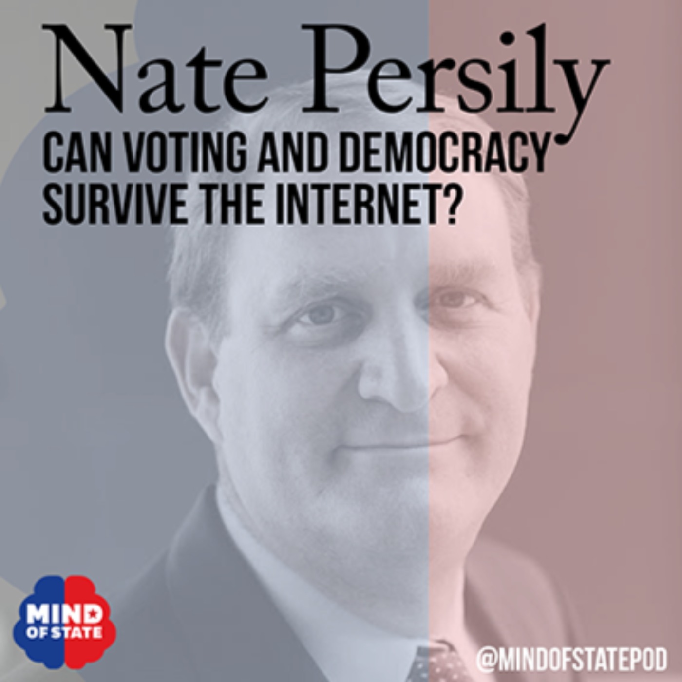 Can Voting and Democracy Survive the Internet?