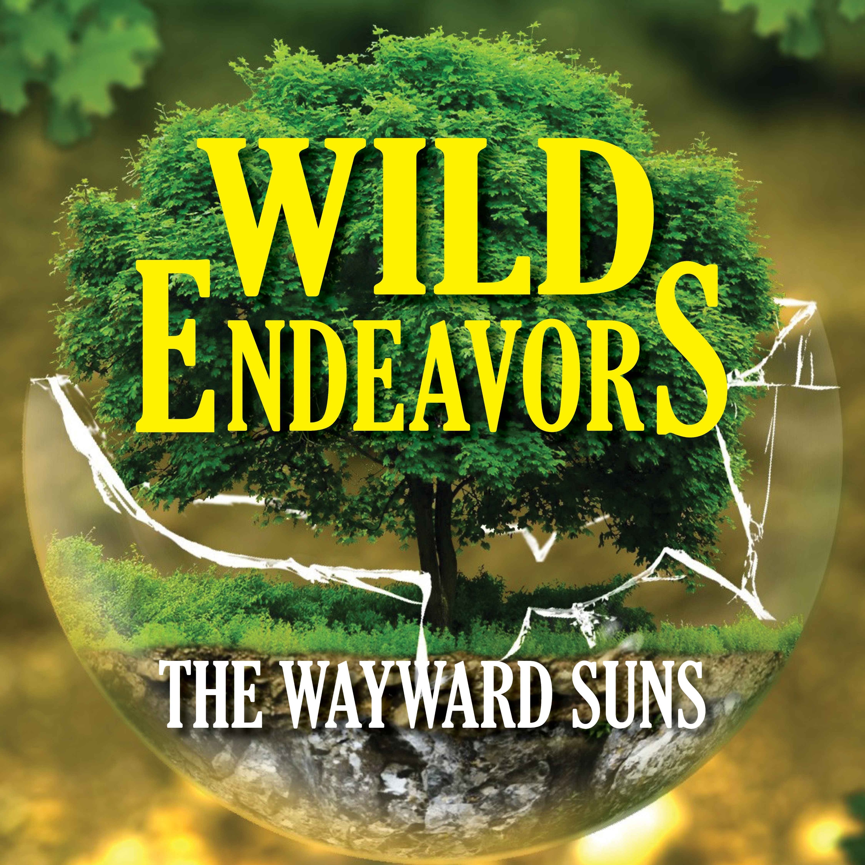 cover art for Wayward Suns – Ep.11 – The Undying Fire