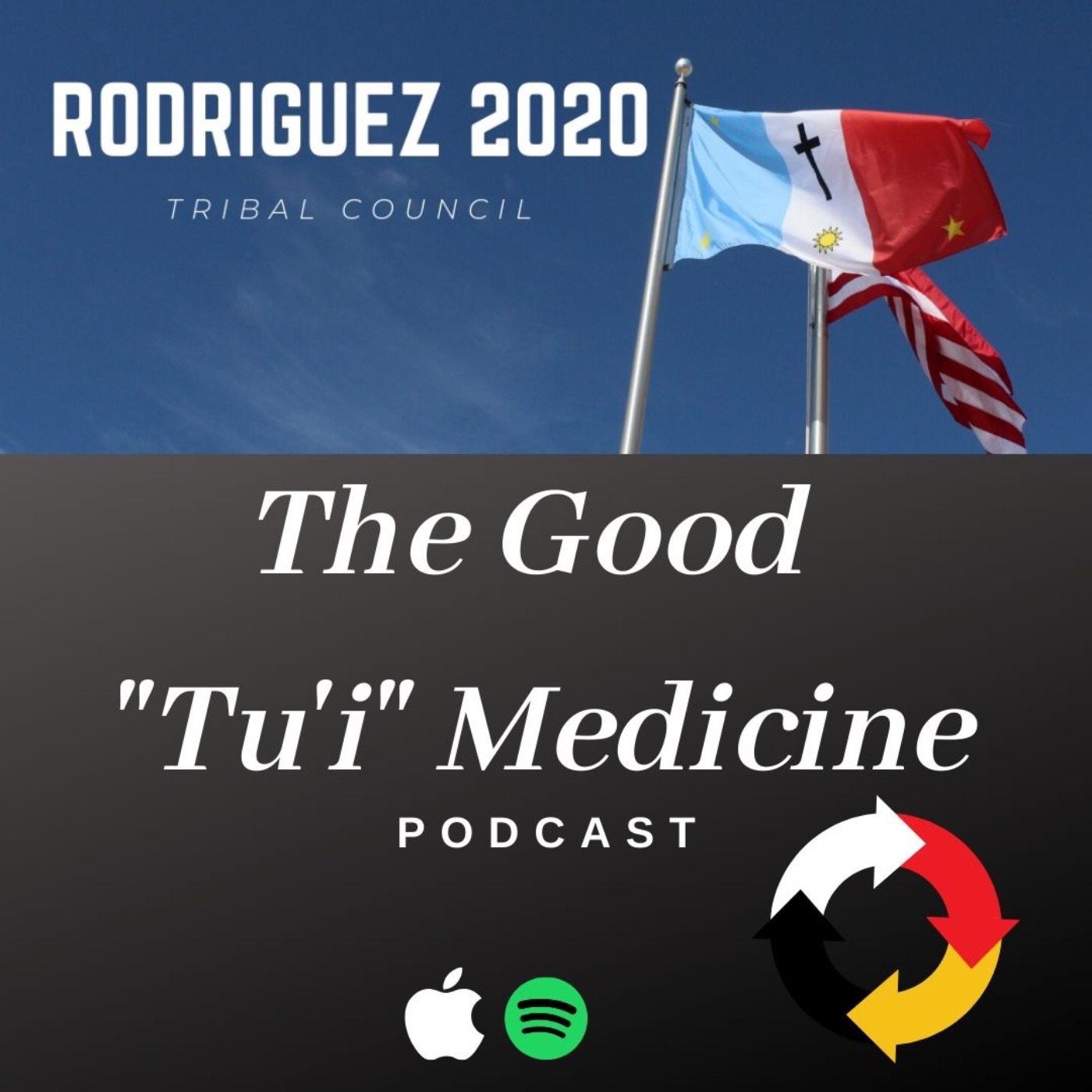 Tribal Council 2020 Candidacy