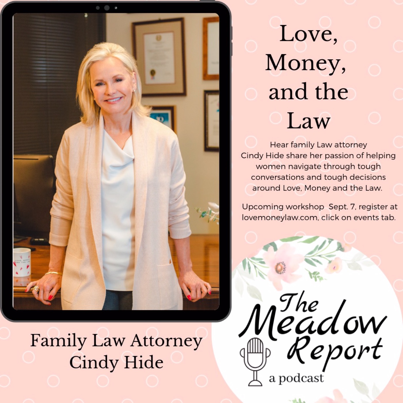 Love Money and the Law with Cindy Hide episode artwork